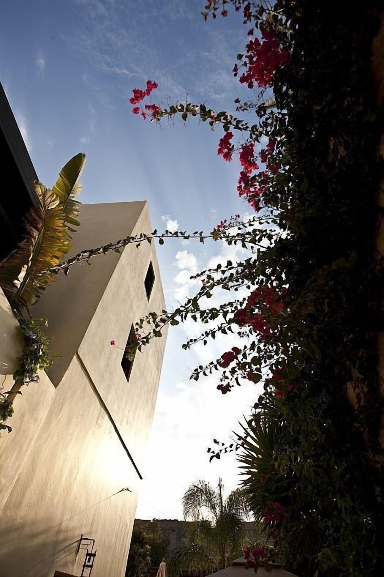 Spirit of the Knights Boutique Hotel by null