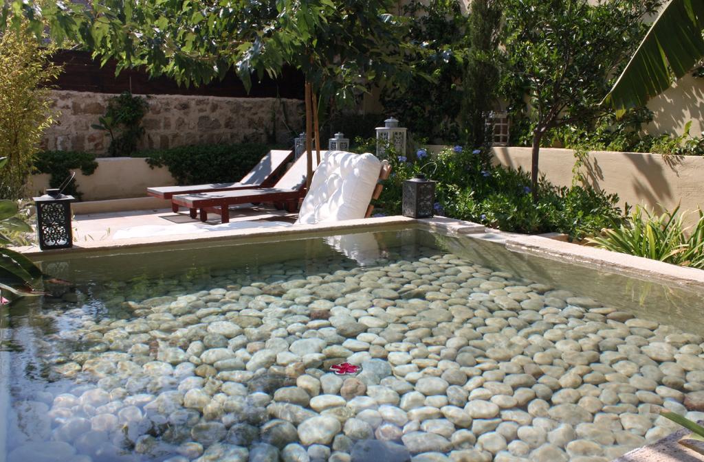 Spirit of the Knights - Poză