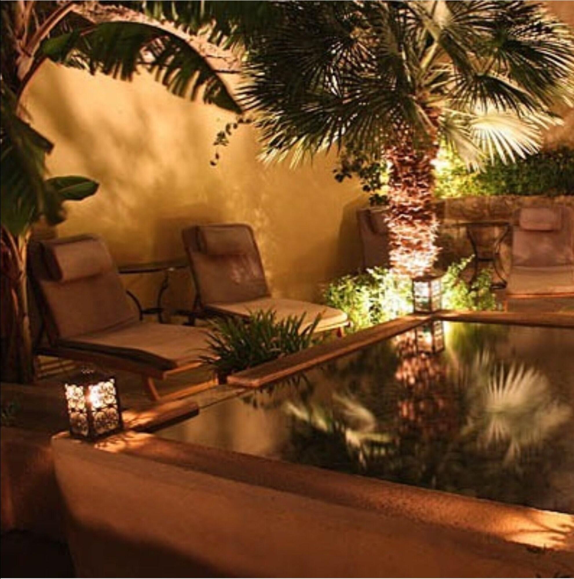 Spirit of the Knights - Poză