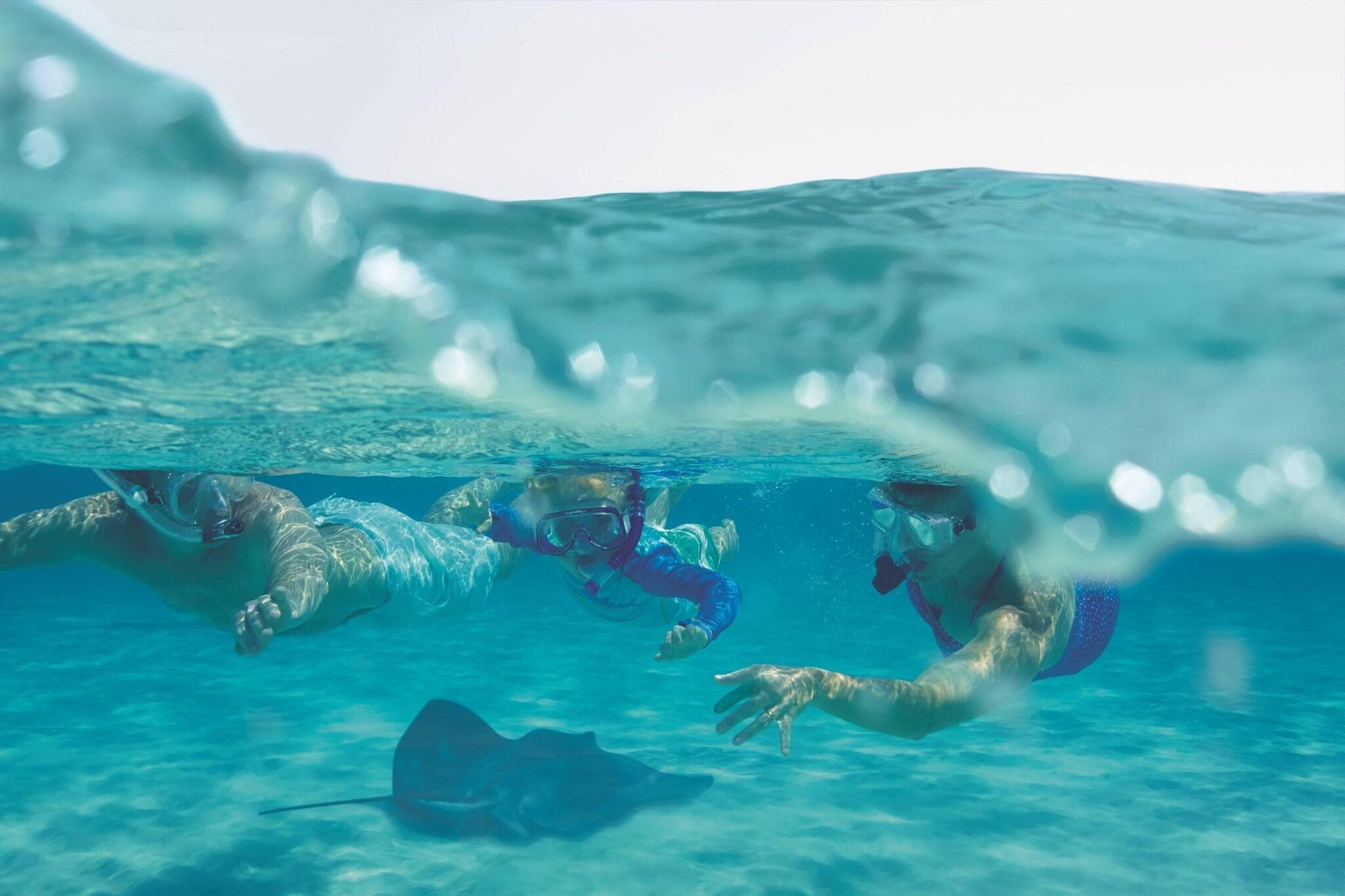 The Ritz-Carlton, Grand Cayman by null