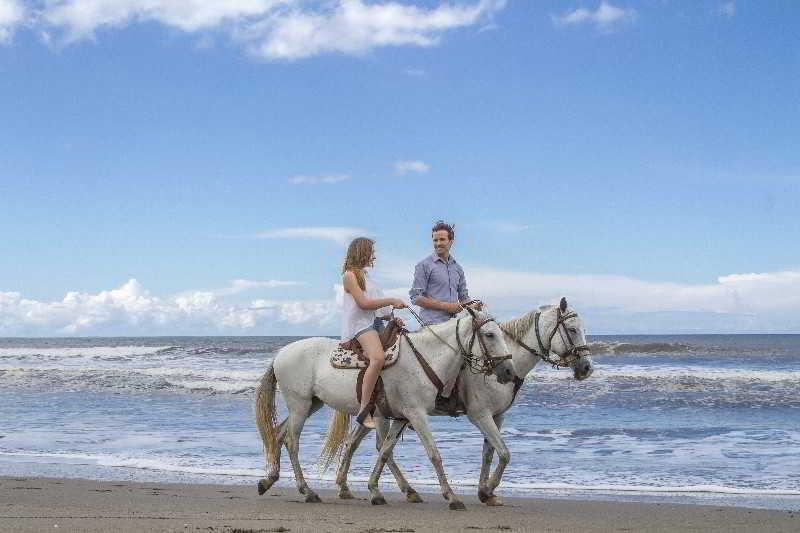 Barceló Montelimar - All Inclusive by null