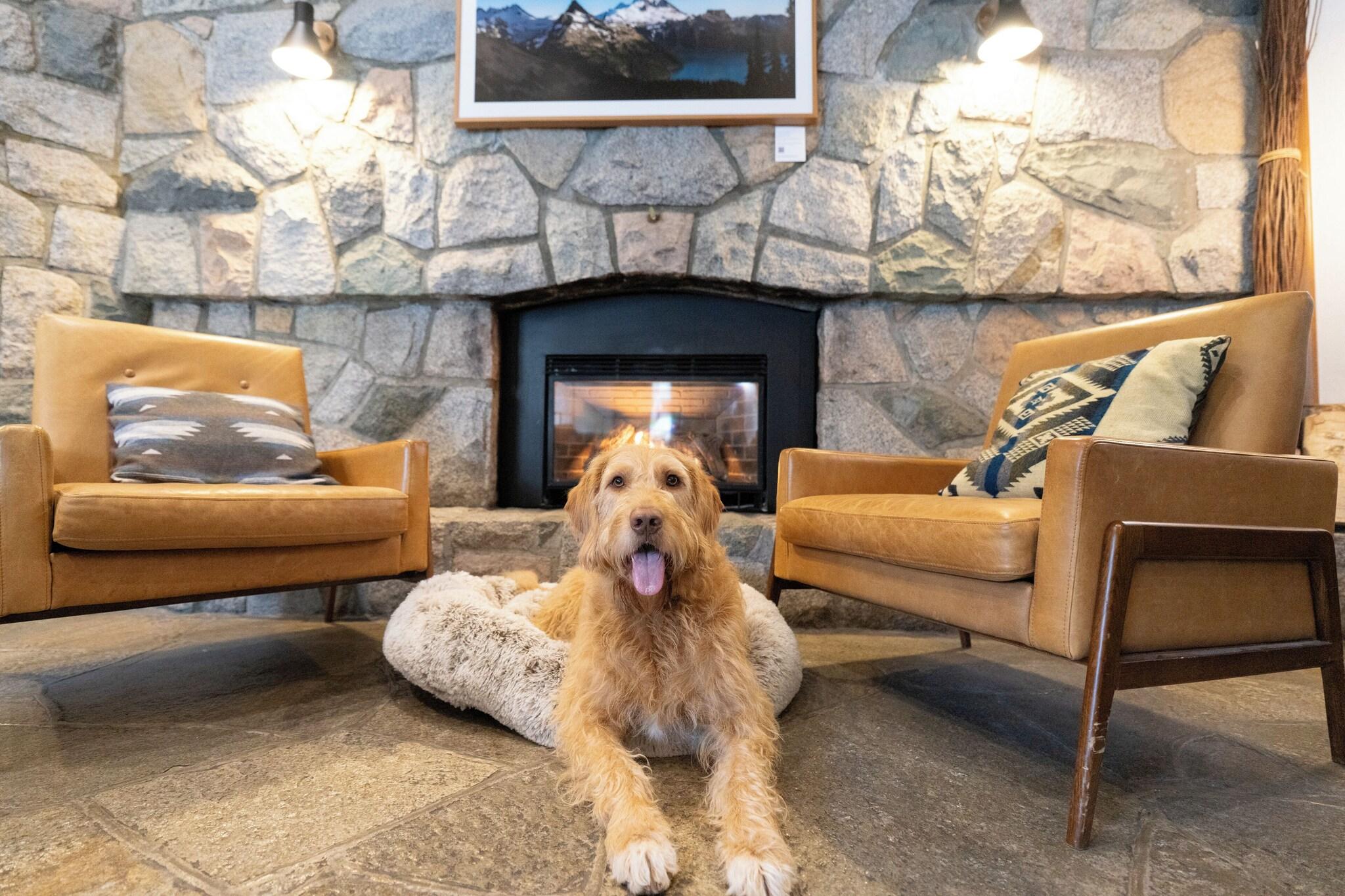 Adara Hotel Whistler by null