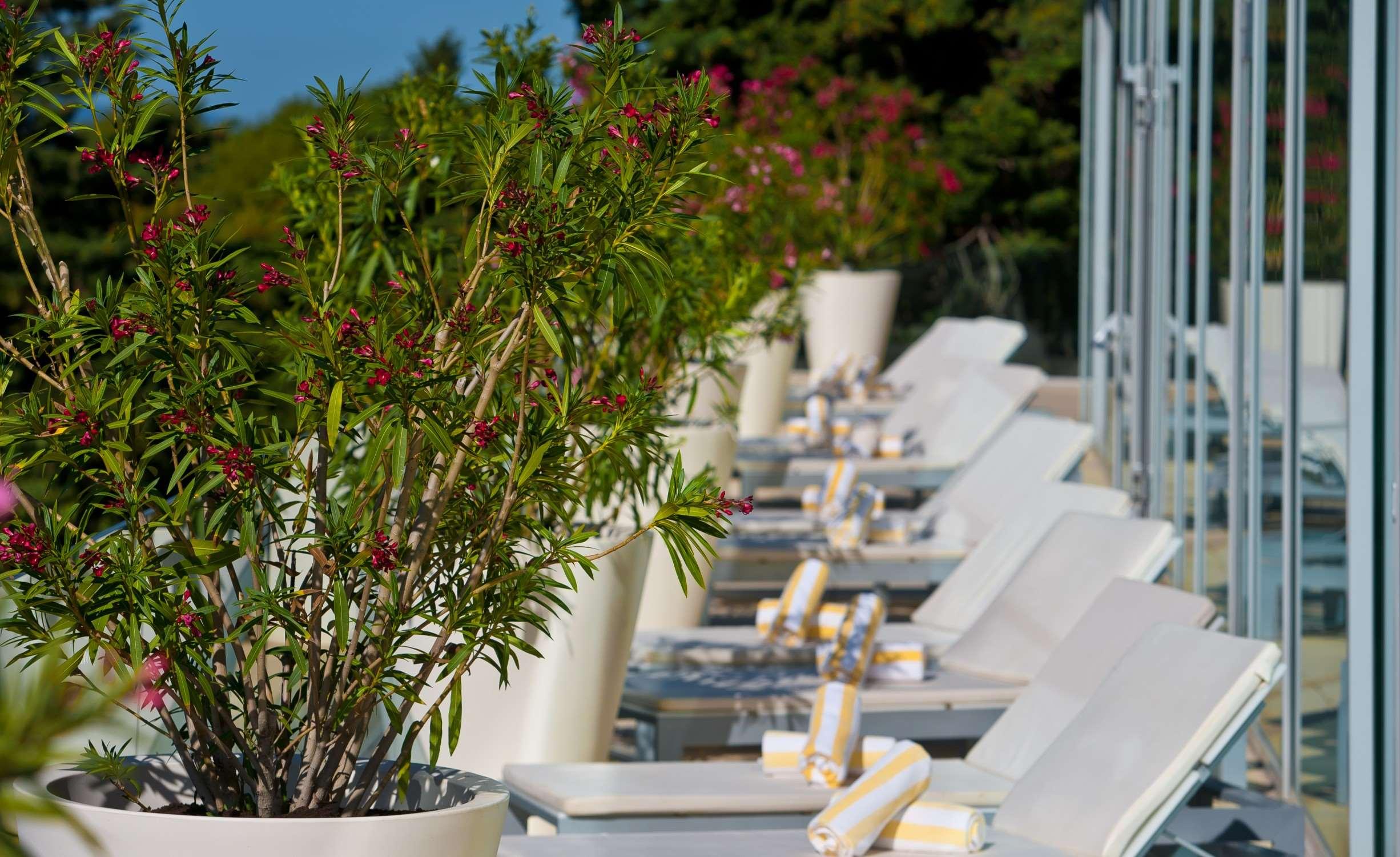 Radisson Blu Resort & Spa, Split - фото