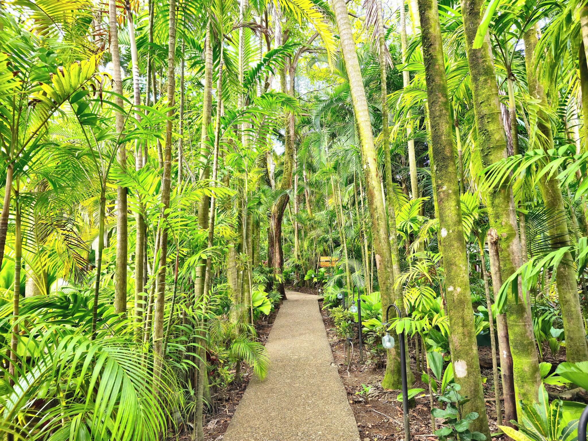 Hotel Costa Verde by null