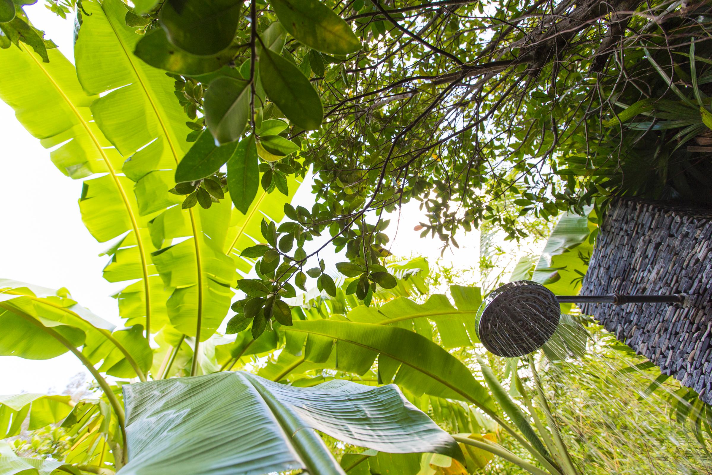 LAlya Ninh Van Bay - nuotrauka