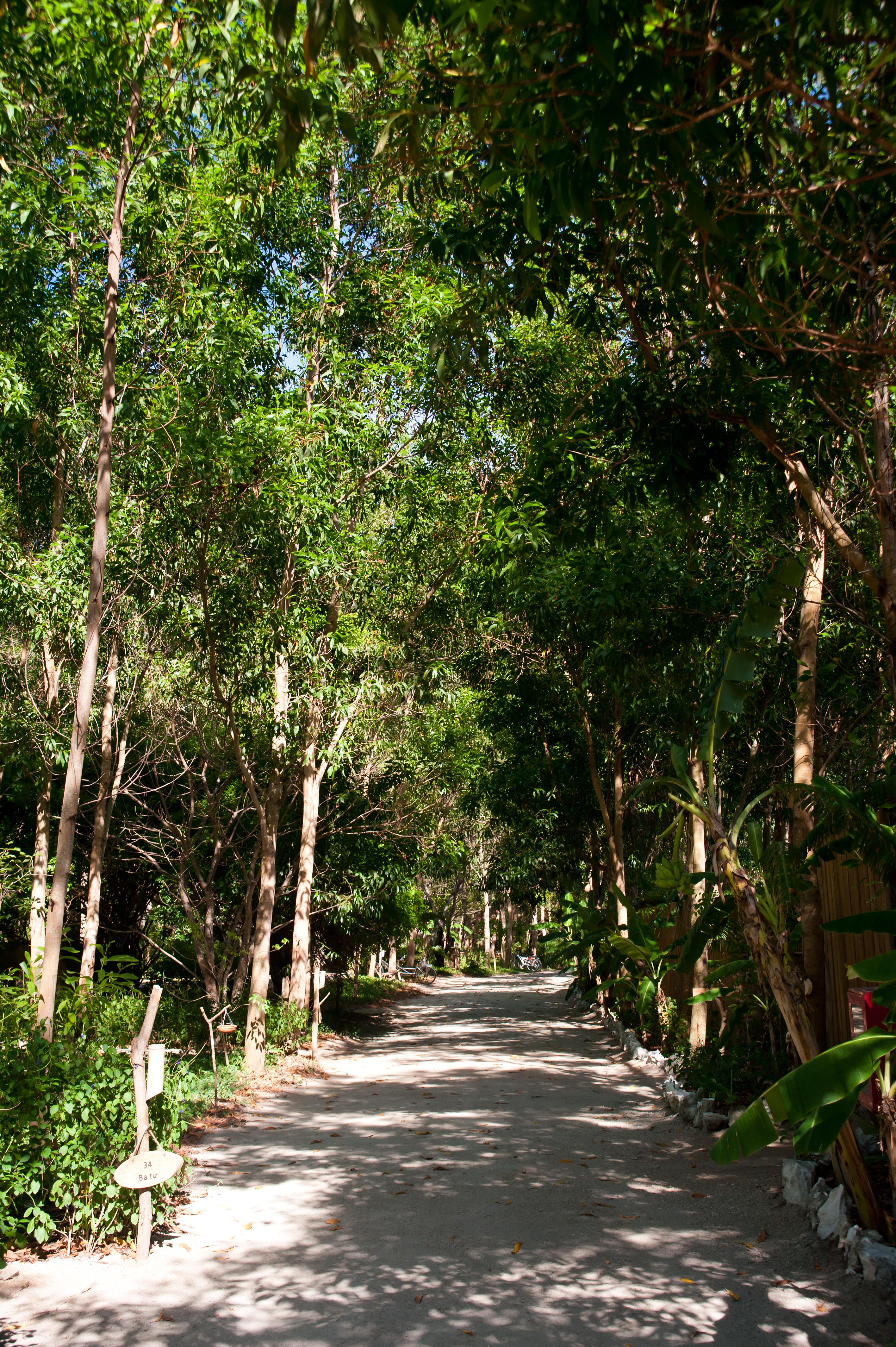 LAlya Ninh Van Bay - nuotrauka