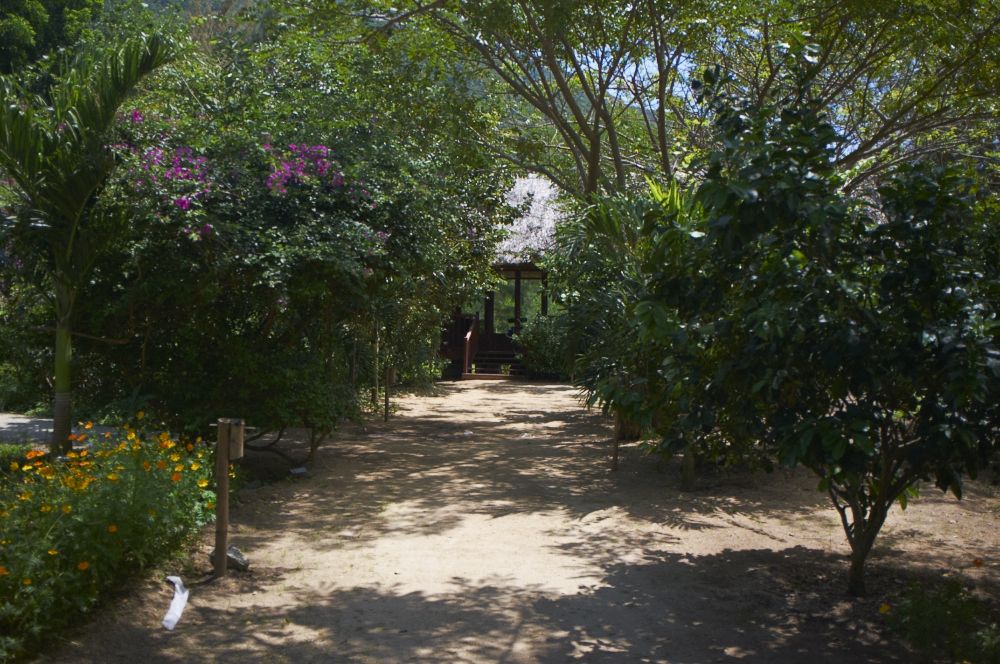 LAlya Ninh Van Bay - nuotrauka