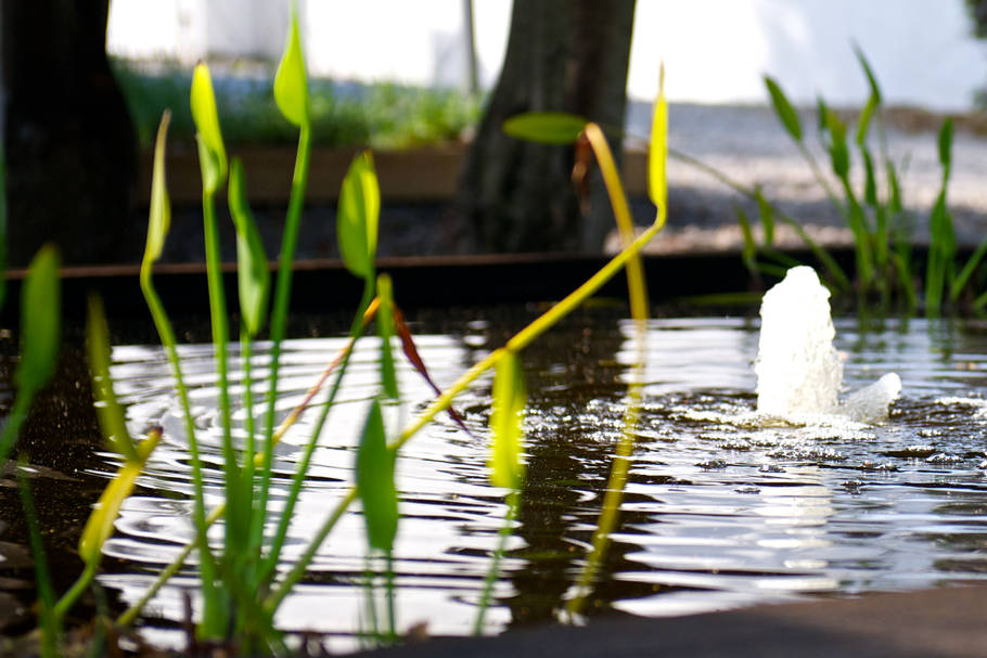 Bloomestate Swellendam by null