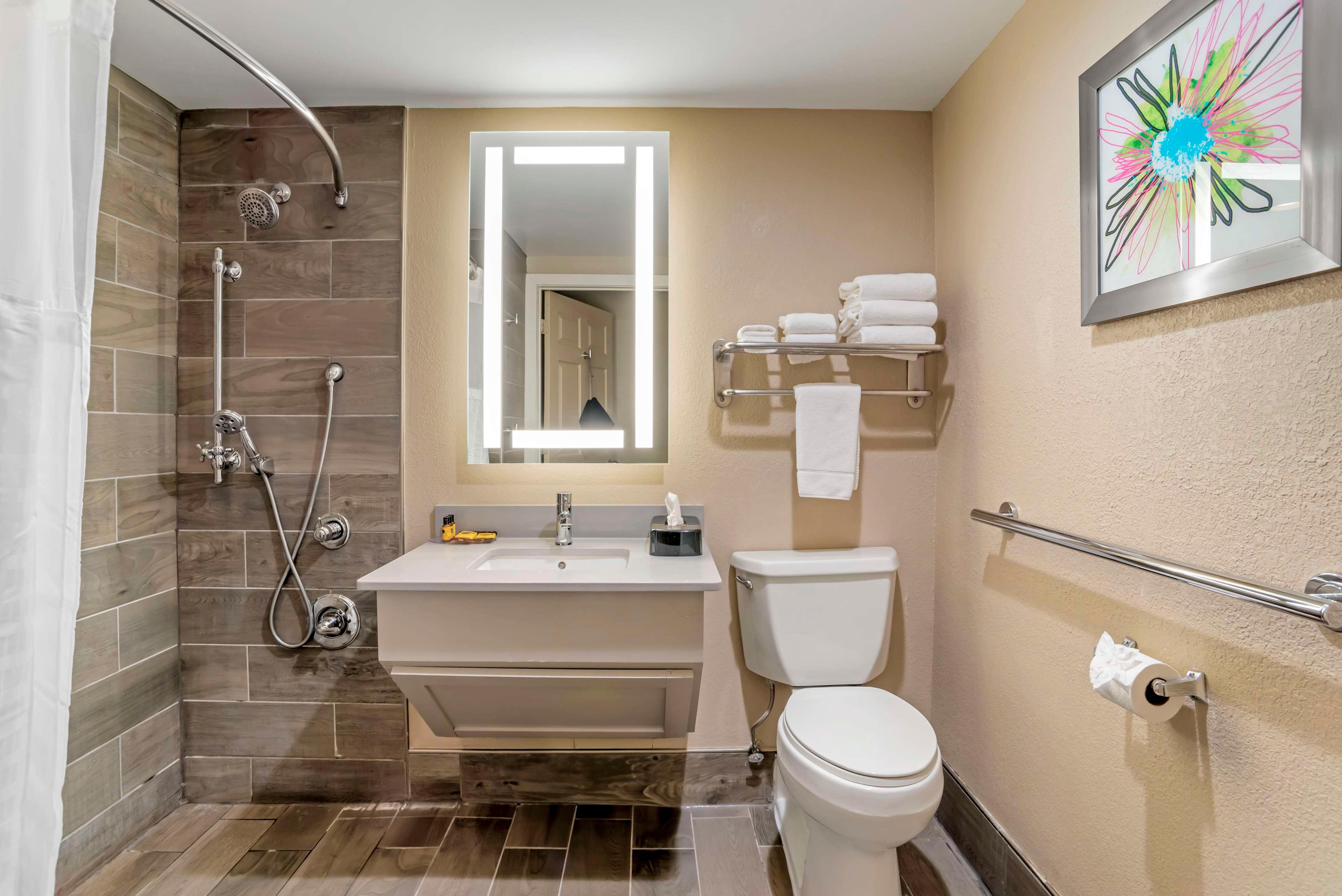 Best Western Plus Greenville I-385 Inn & Suites
