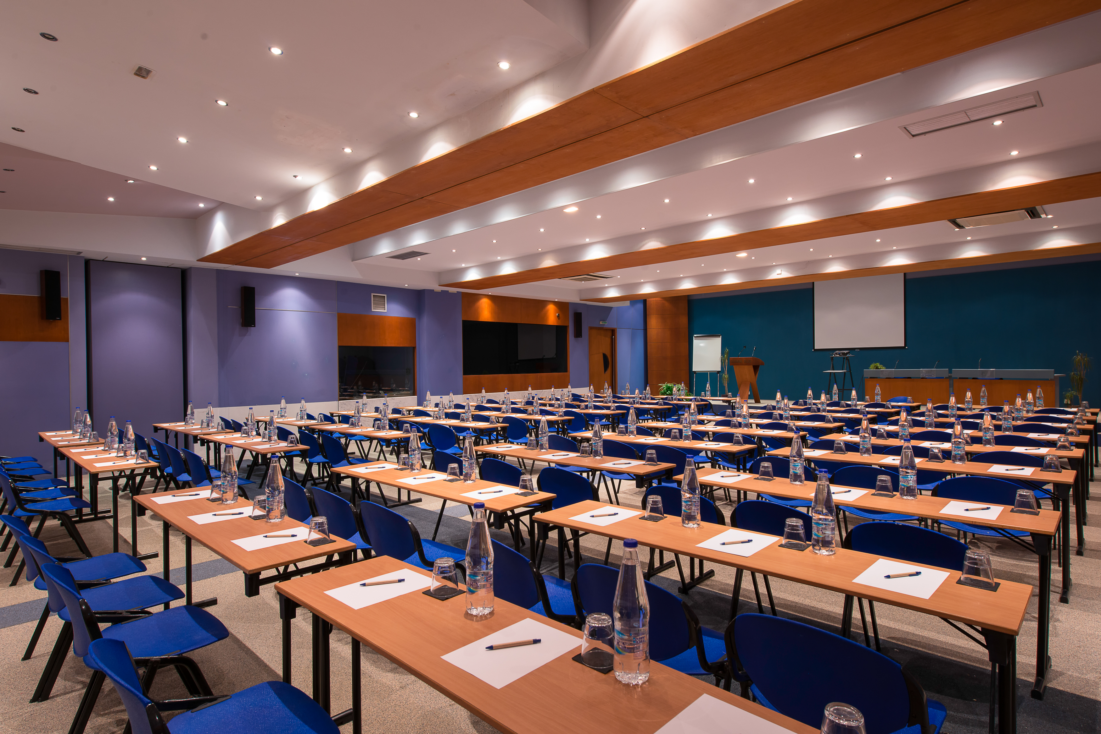 Kassandra Palace SeaSide Resort - photo