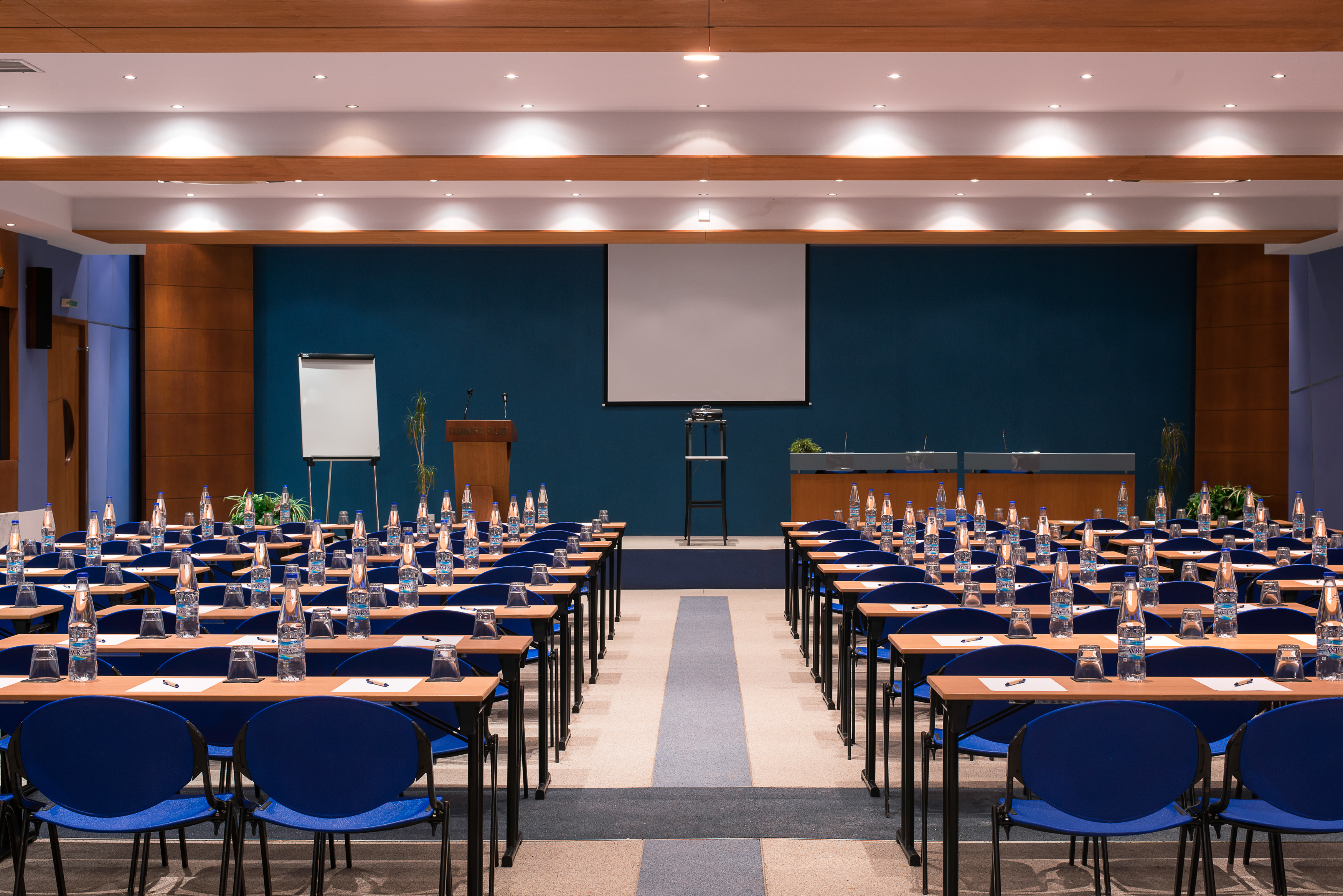 Kassandra Palace SeaSide Resort - photo