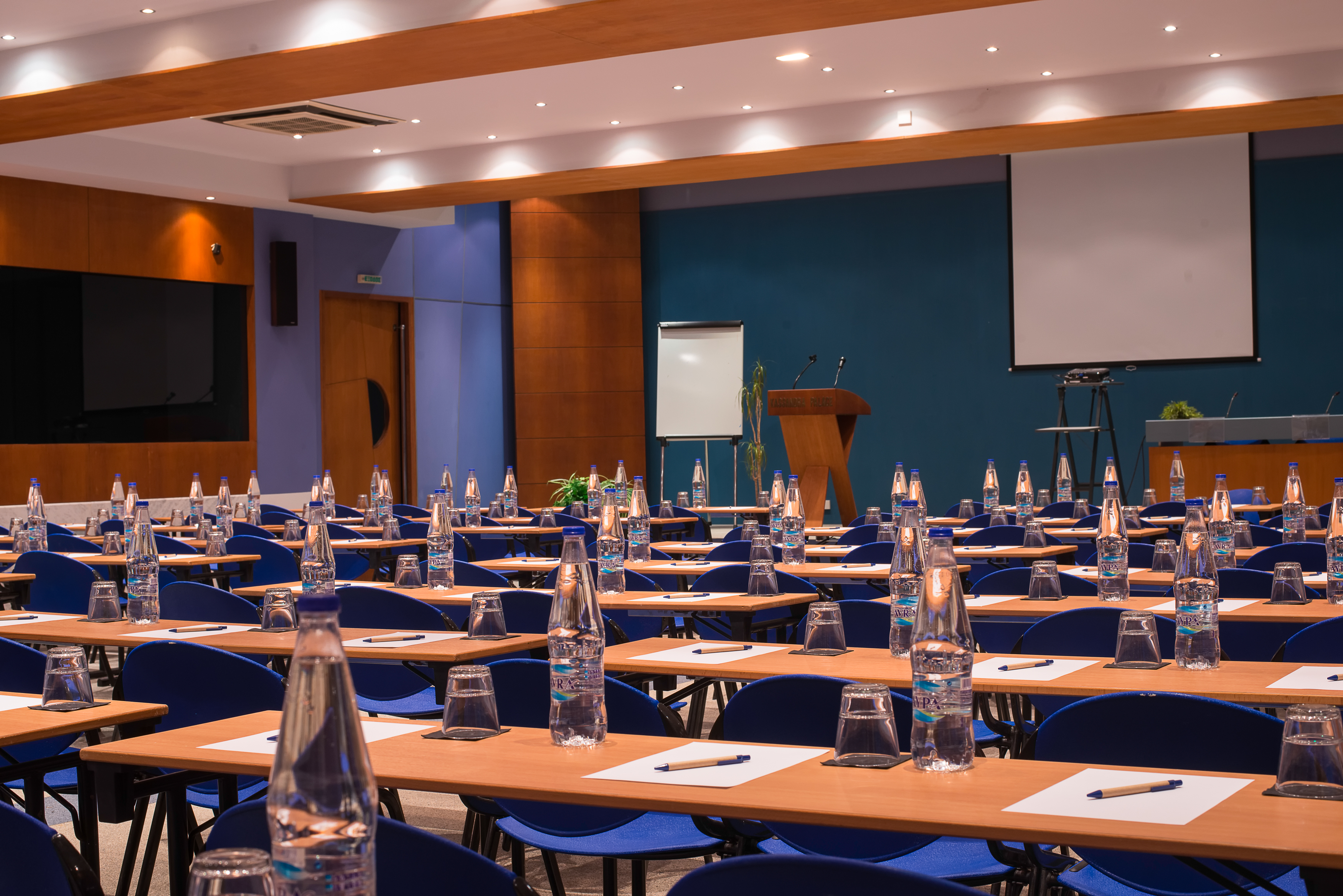 Kassandra Palace SeaSide Resort - photo