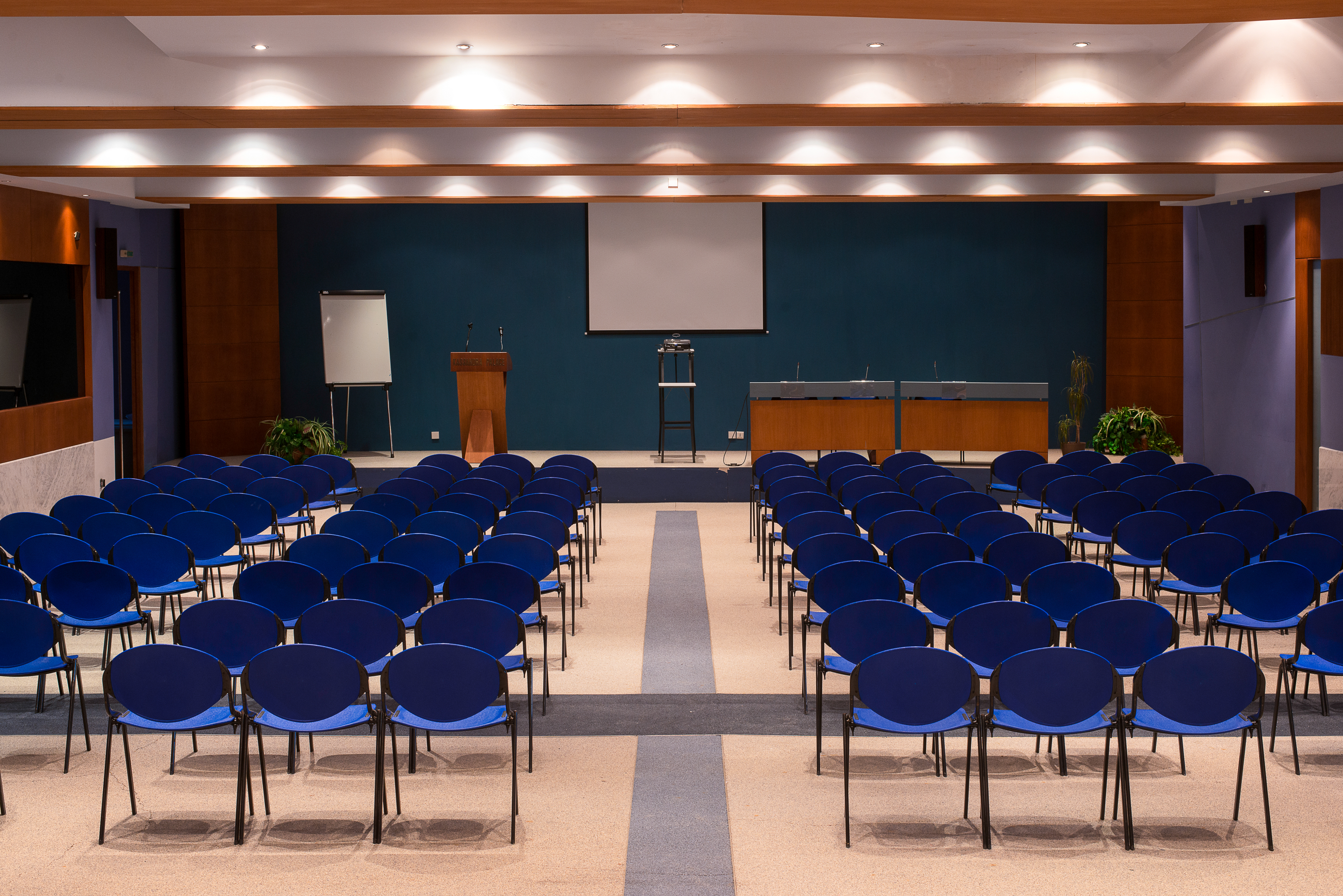 Kassandra Palace SeaSide Resort - photo