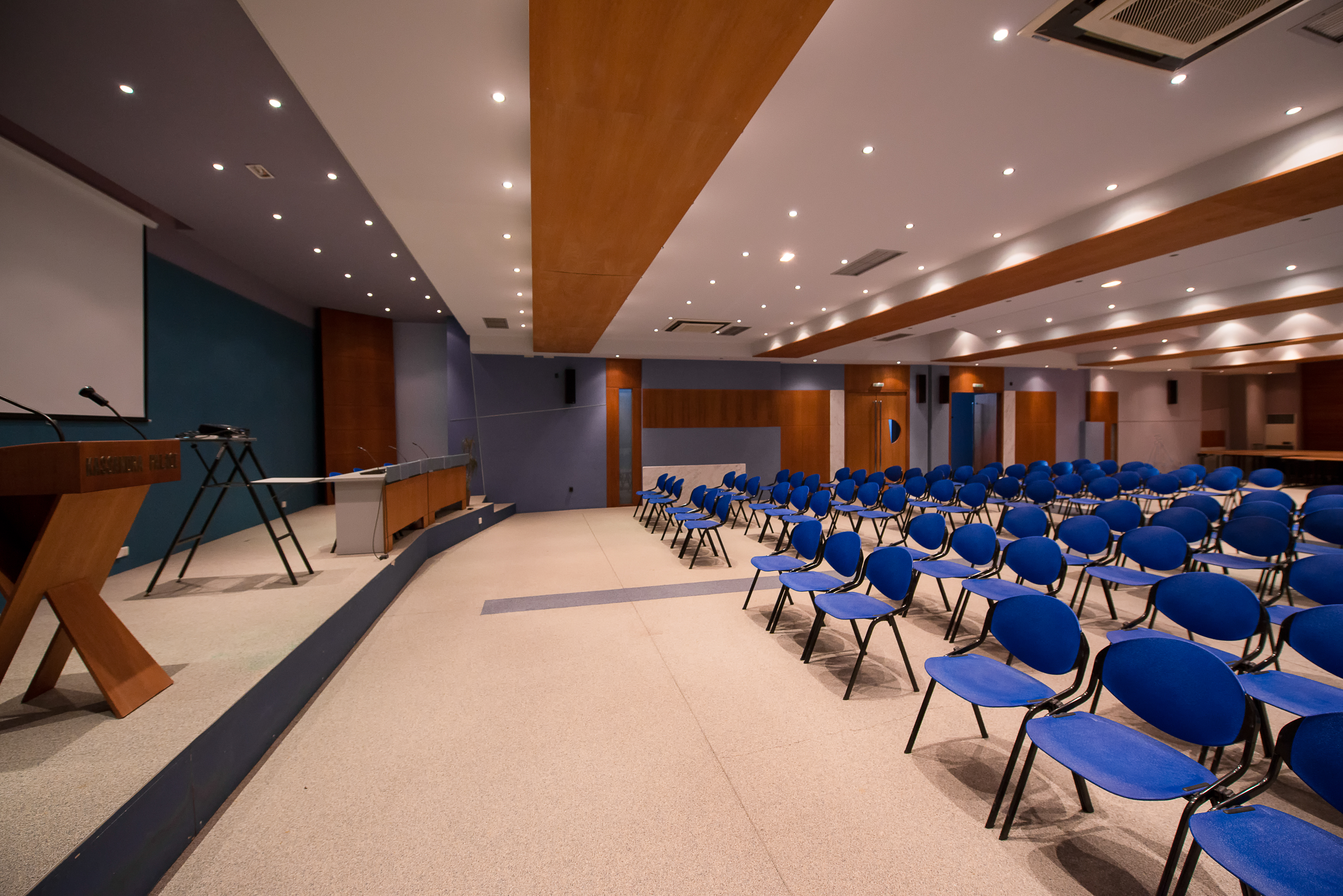 Kassandra Palace SeaSide Resort - photo