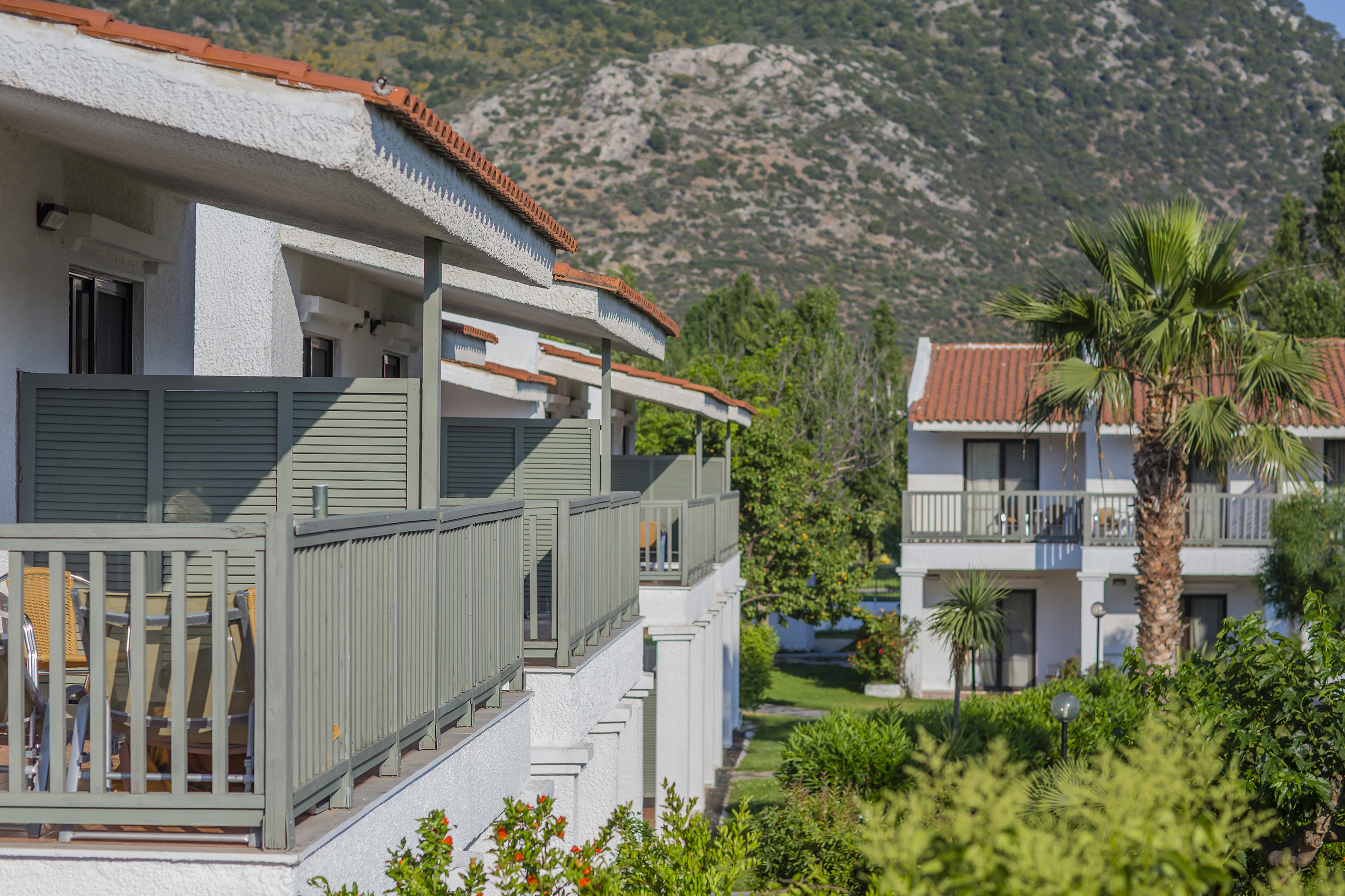 Golden Coast - nuotrauka