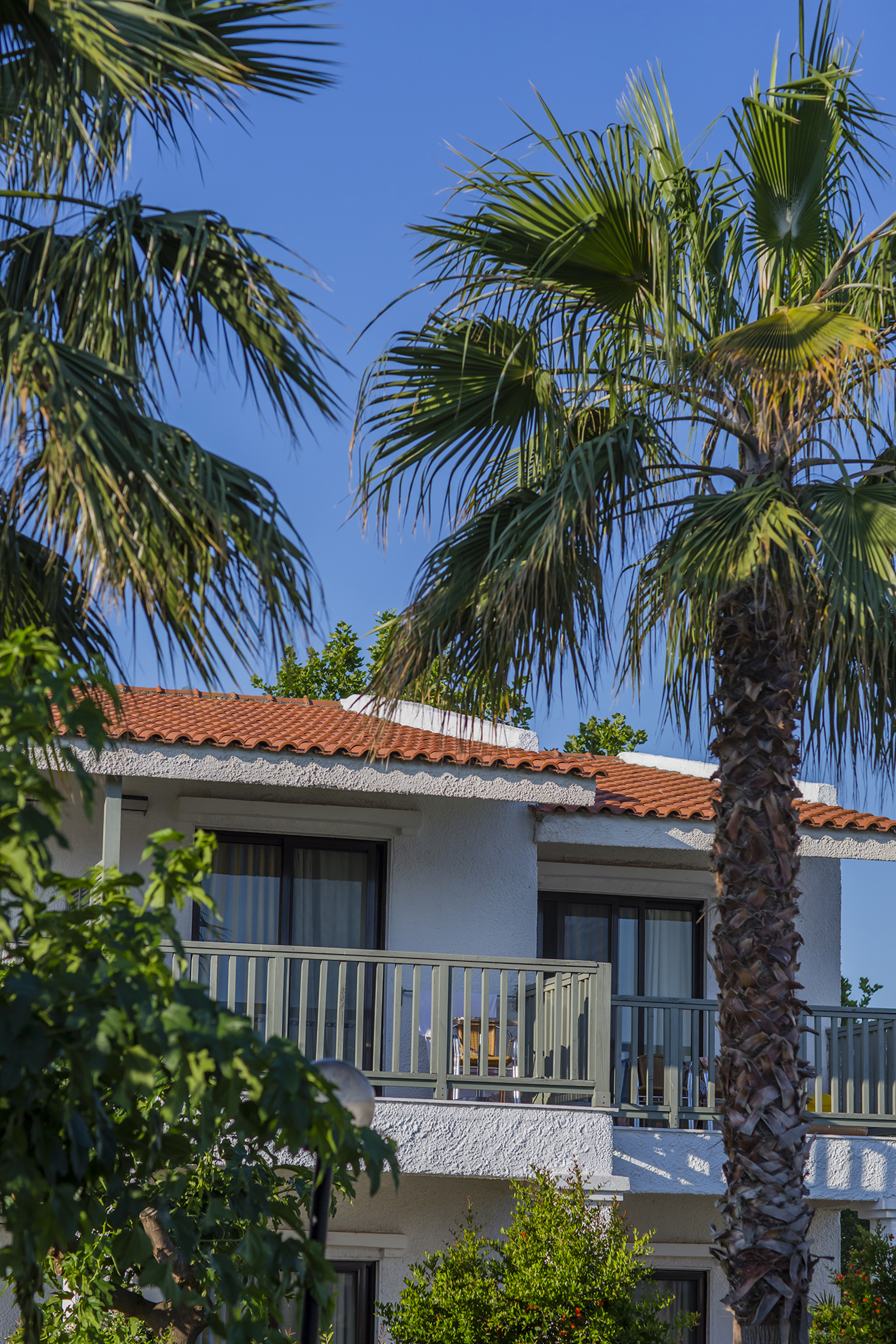 Golden Coast - nuotrauka