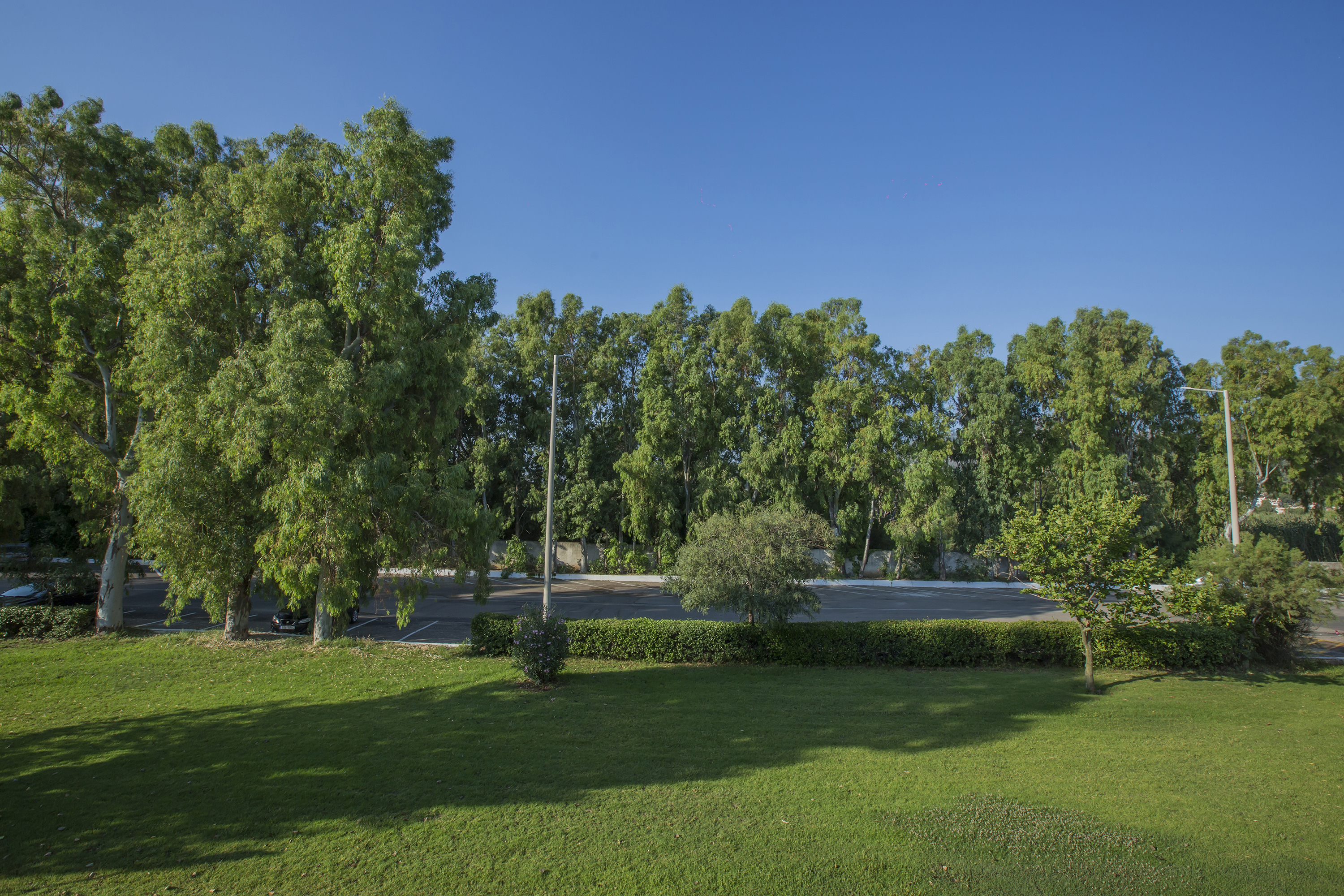 Golden Coast - nuotrauka