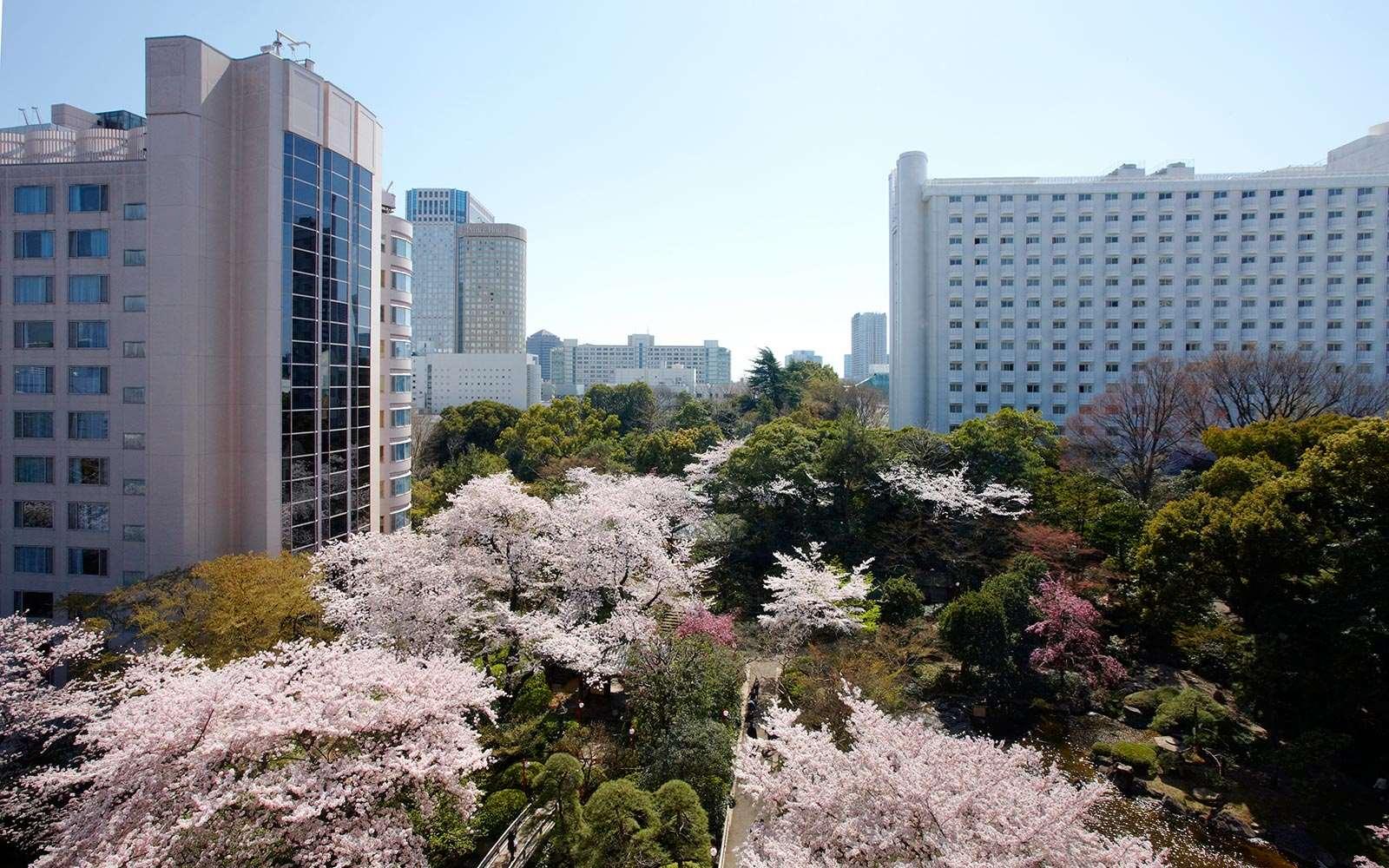 Grand Prince Hotel Takanawa by null