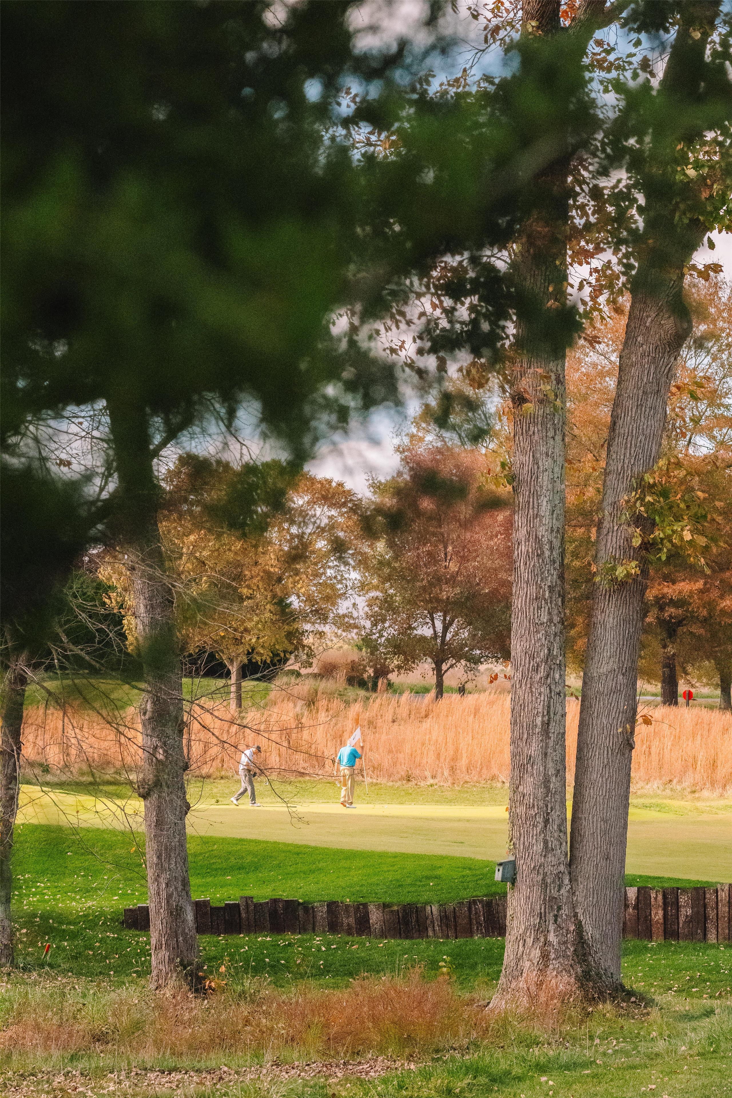 Keswick Hall by null