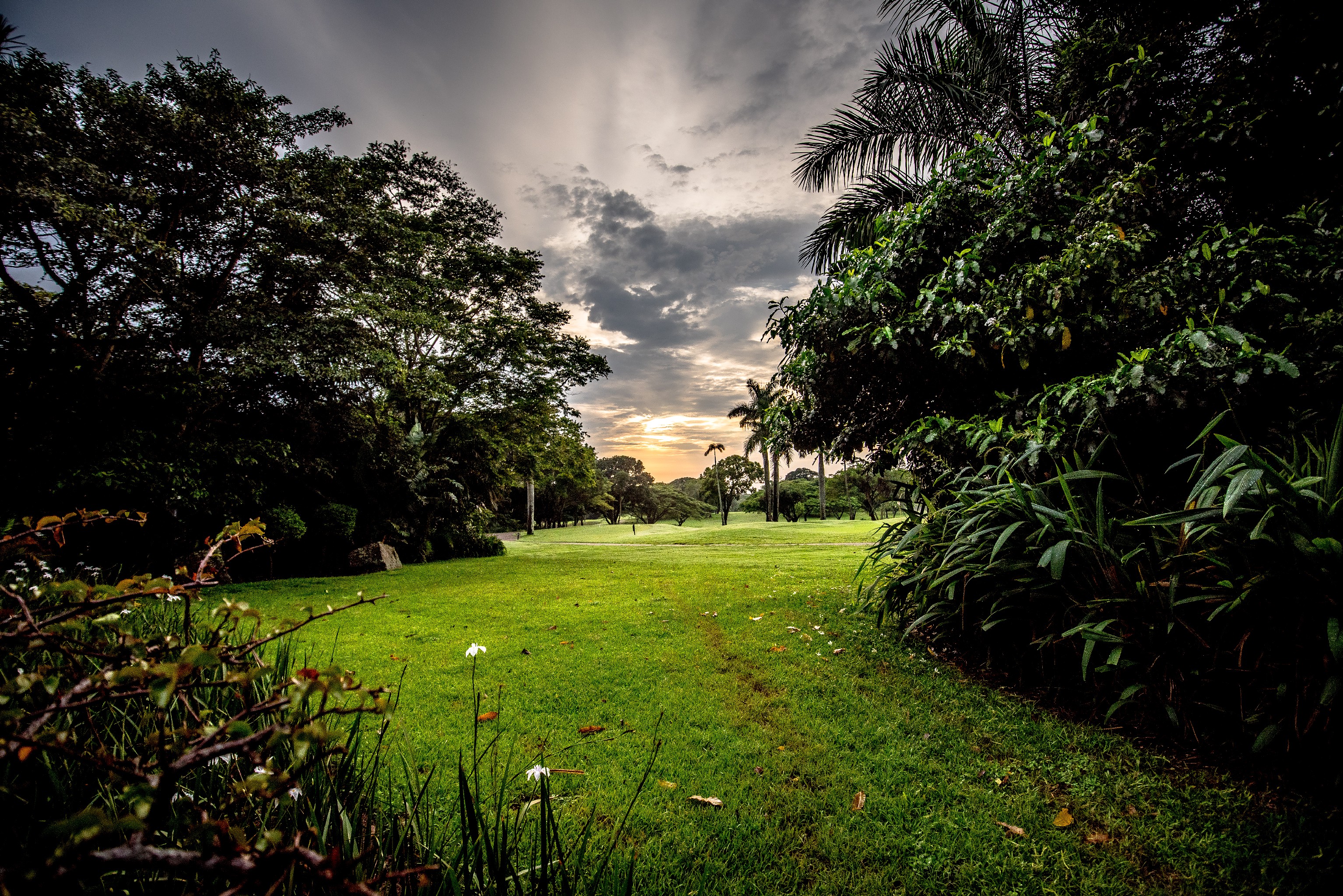 Selborne Golf Estate Hotel & Spa