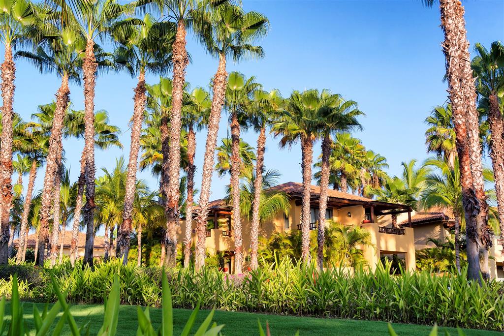 The St. Regis Punta Mita Resort by null