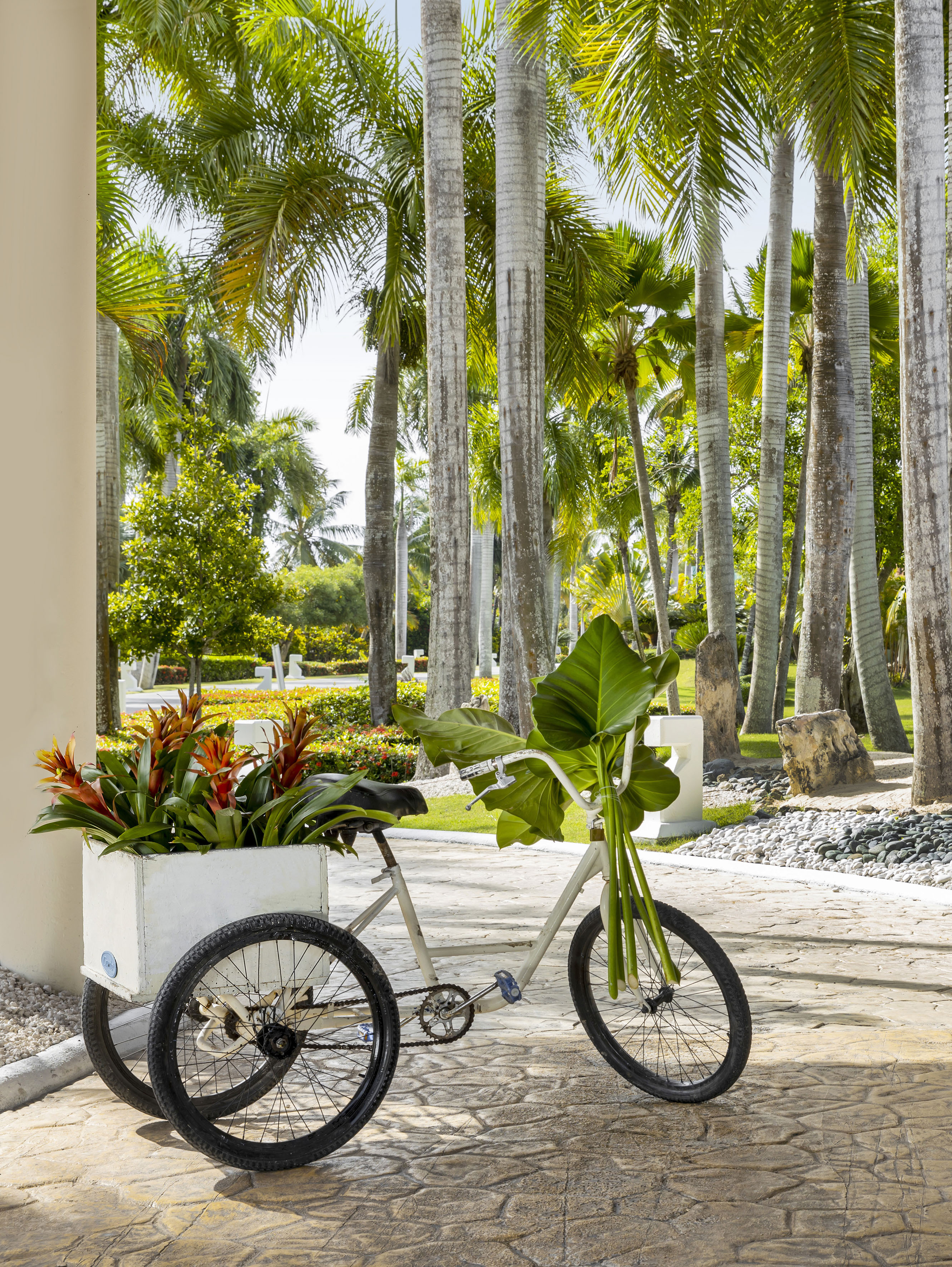 The Reserve at Paradisus Punta Cana - photo