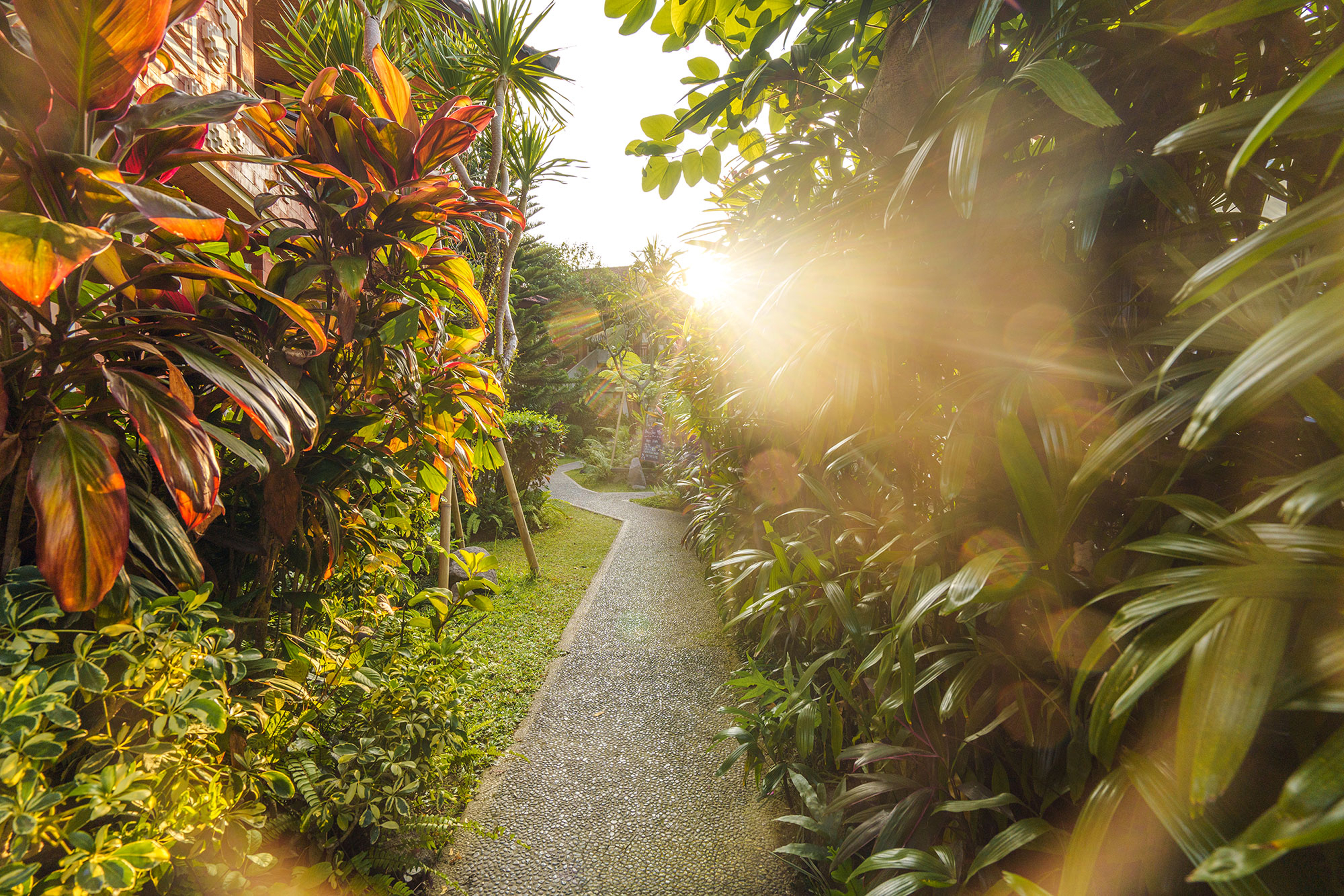 Rama Phala Resort & Spa - nuotrauka