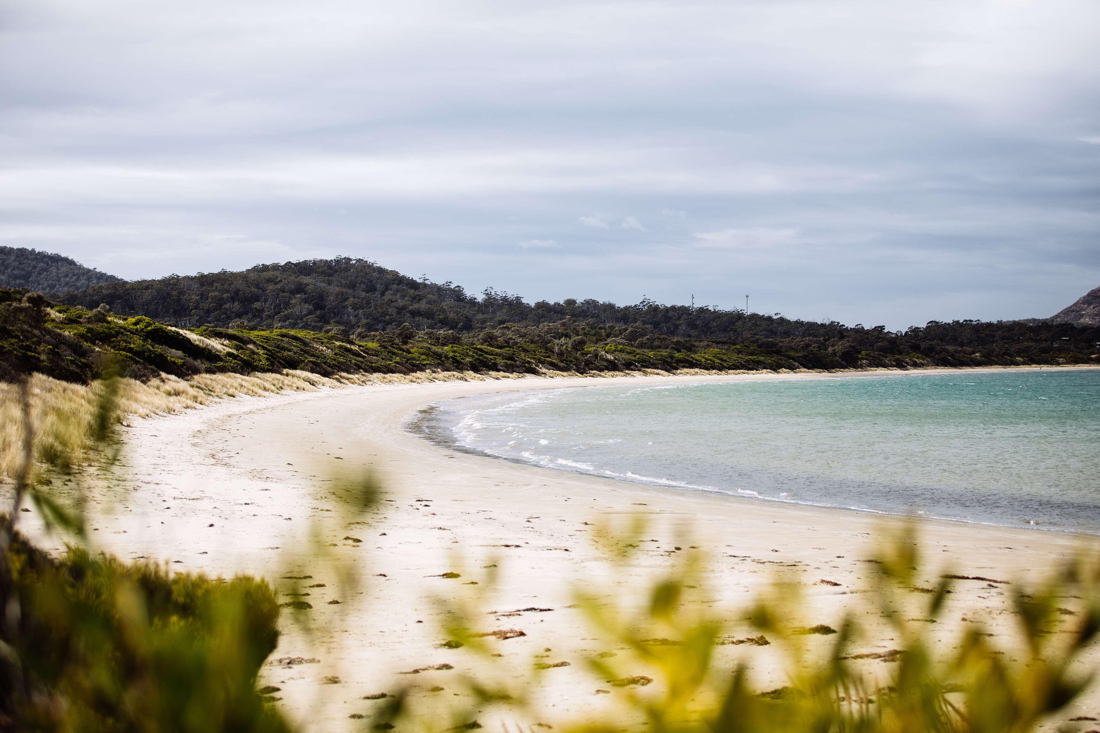 Saffire Freycinet by null