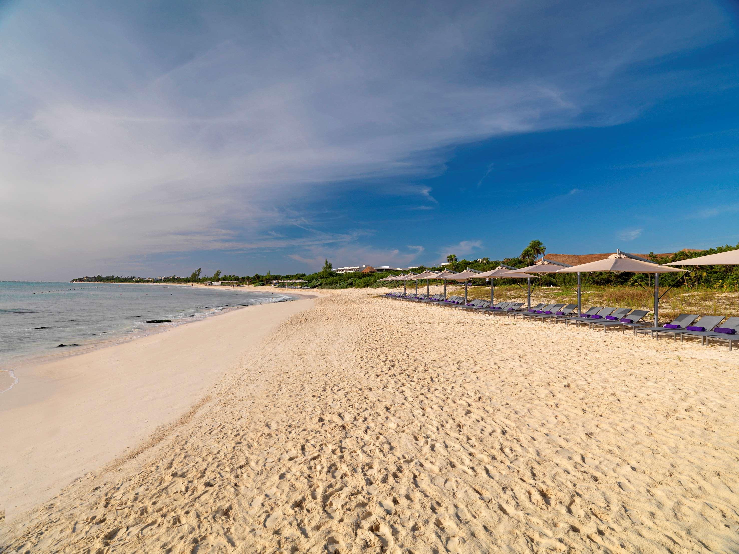 Paradisus Playa del Carmen - Riviera Maya by null