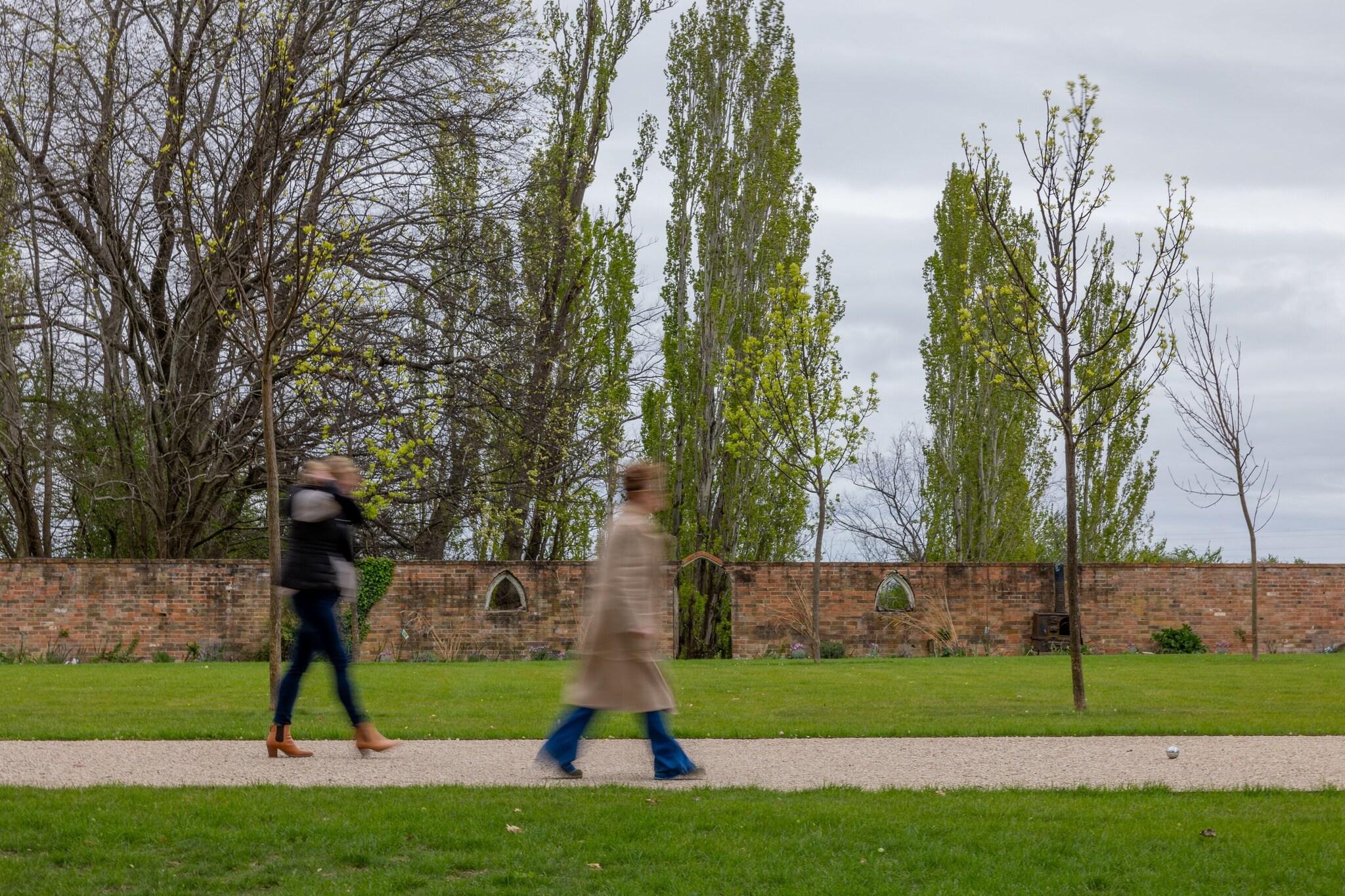 Quamby Estate by null