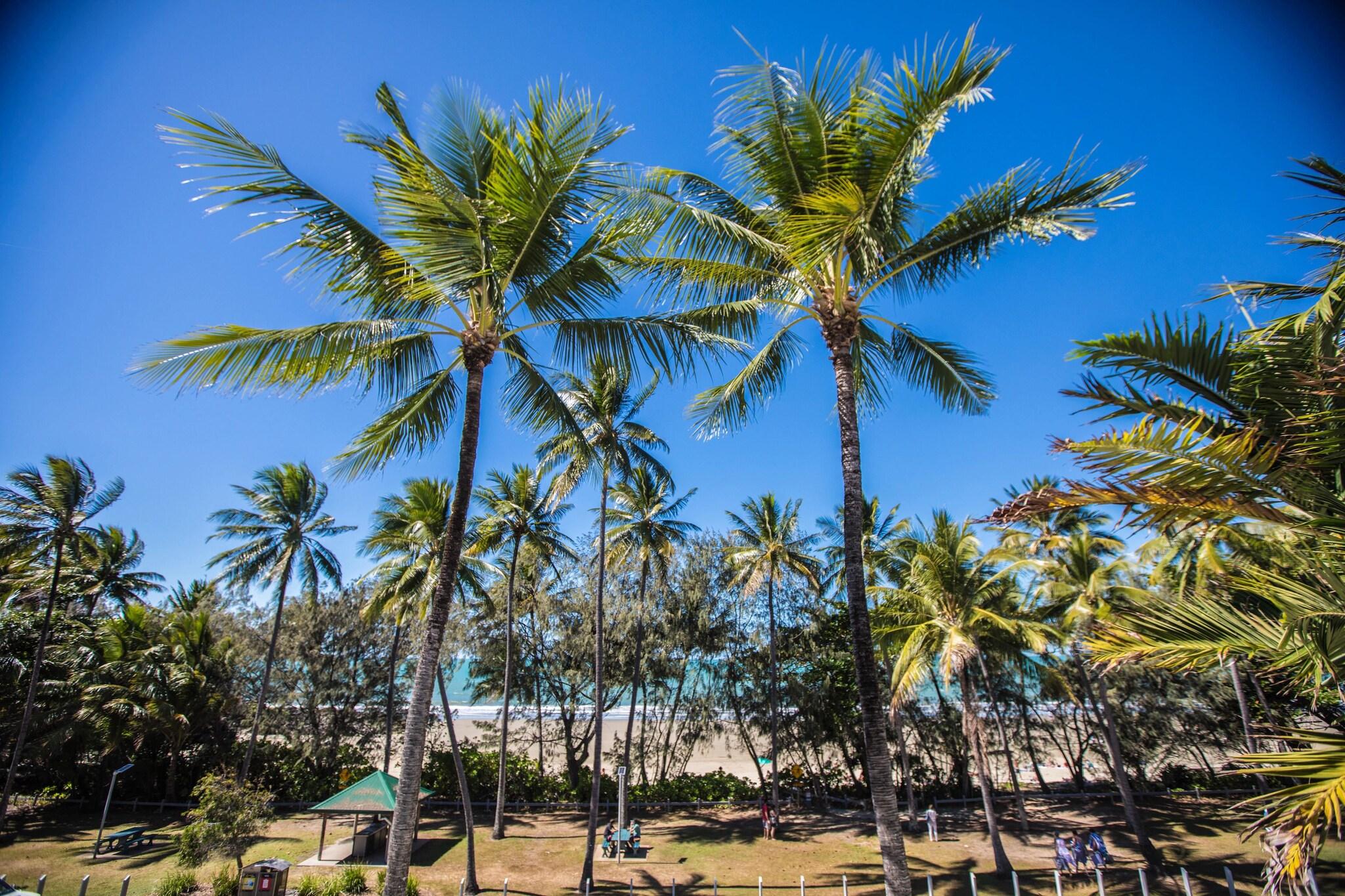 Port Douglas Peninsula Boutique Hotel by null