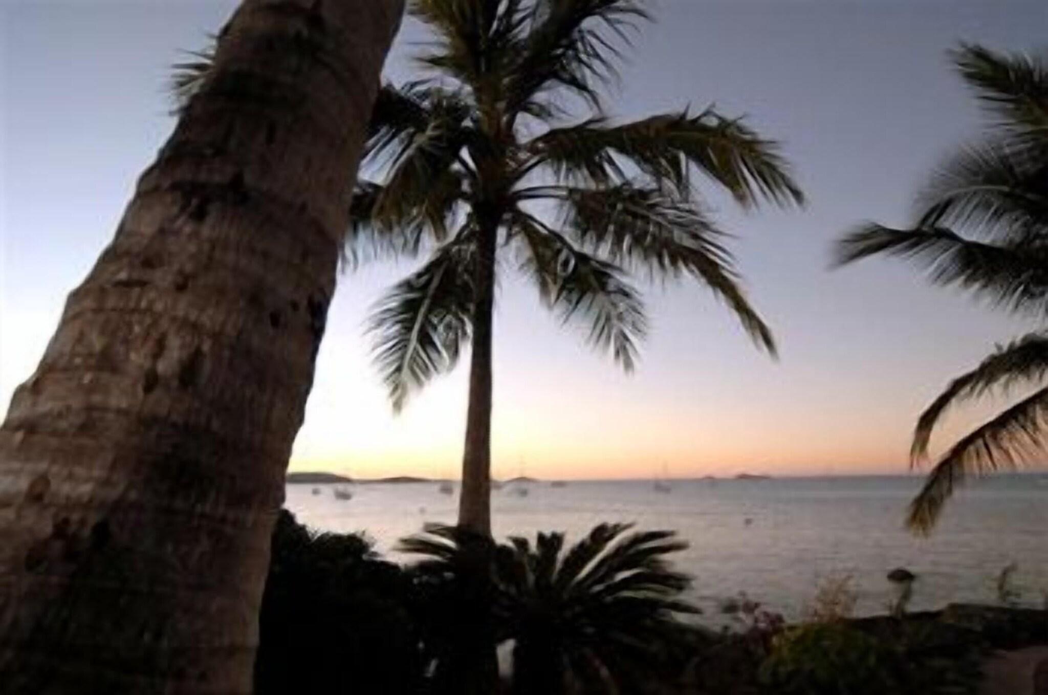 Mango House - Airlie Beach QLD by null
