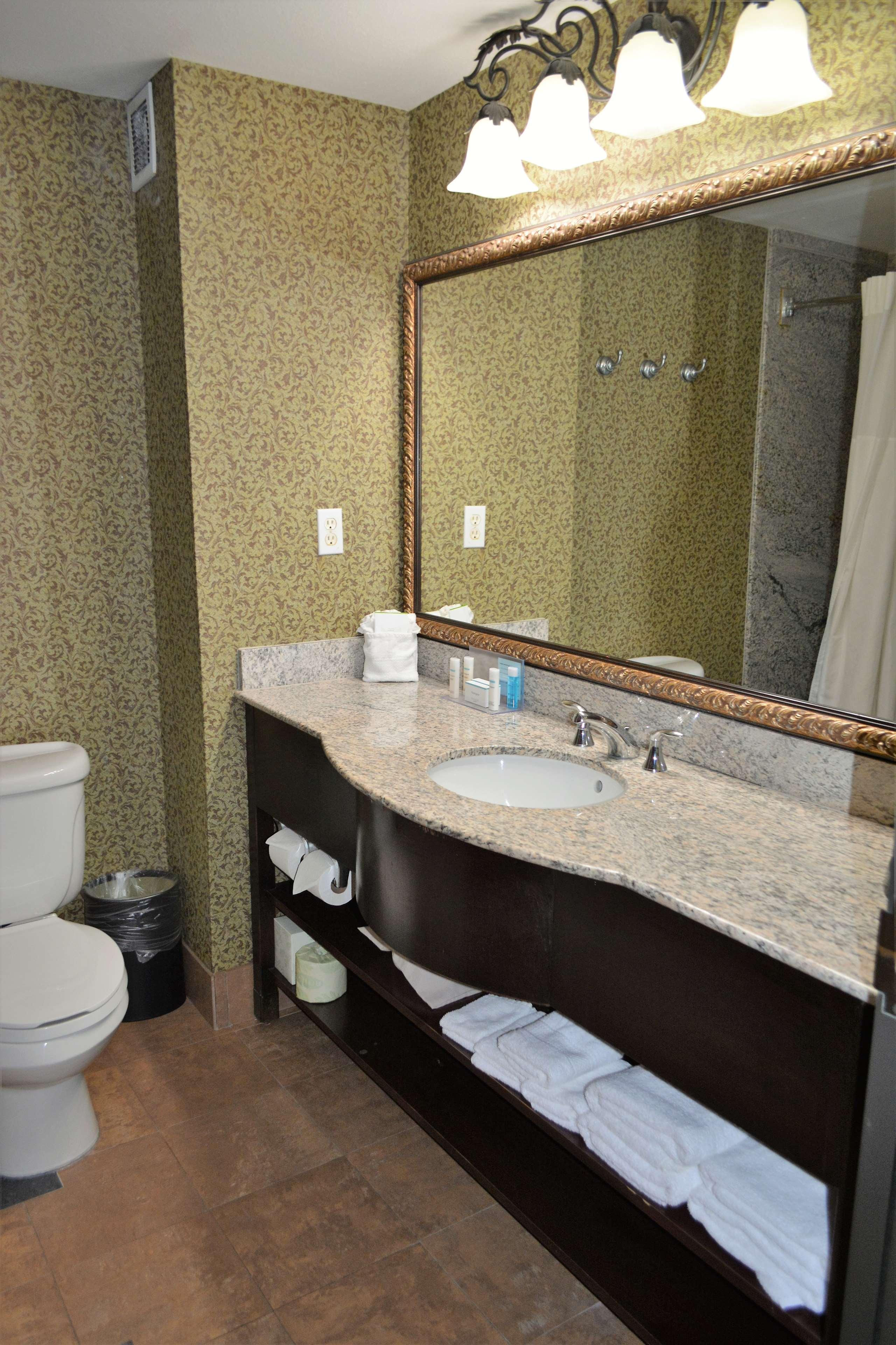 Hampton Inn & Suites Houston-Katy
