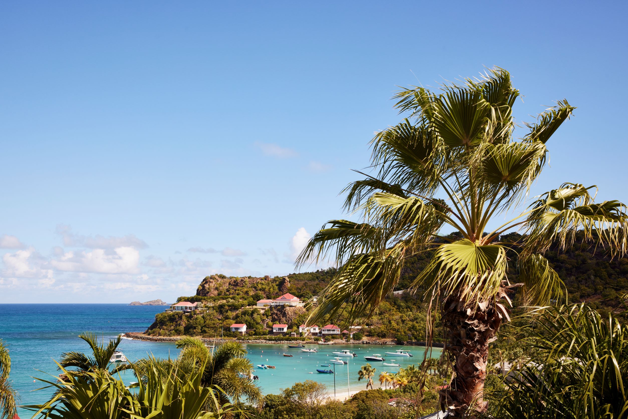 Tropical Hotel by null