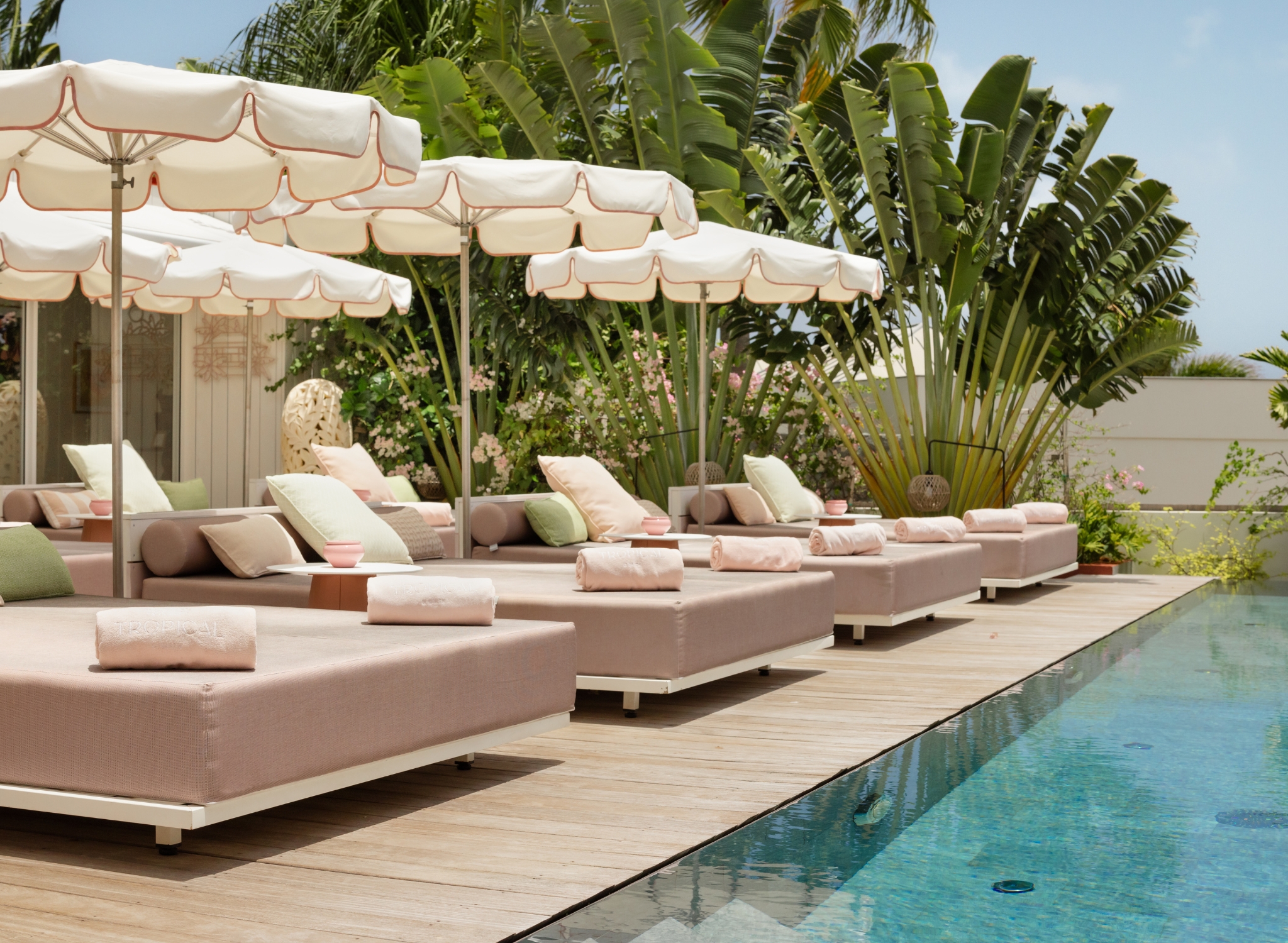 Tropical Hotel by null