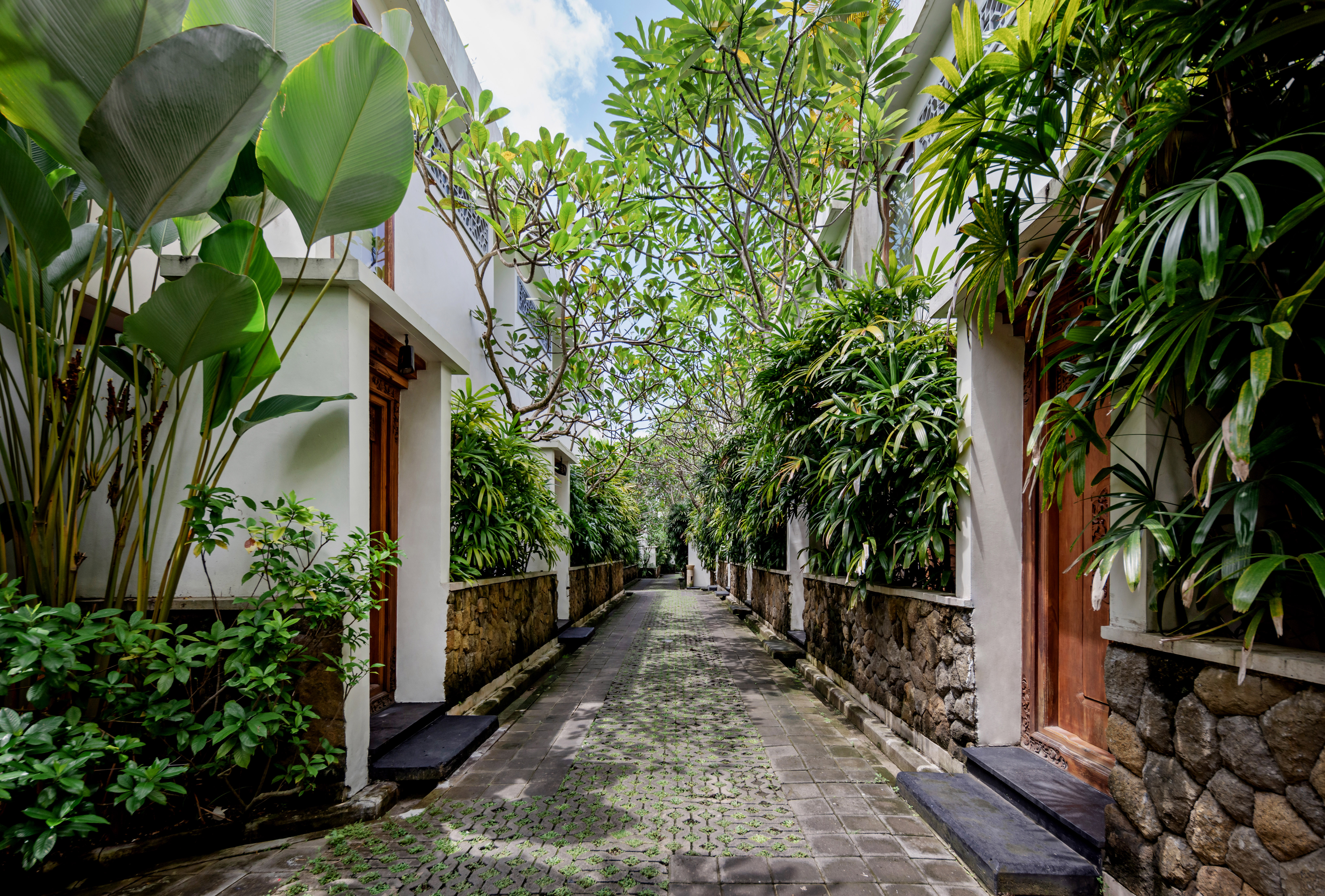 Villa Kayu Raja - photo