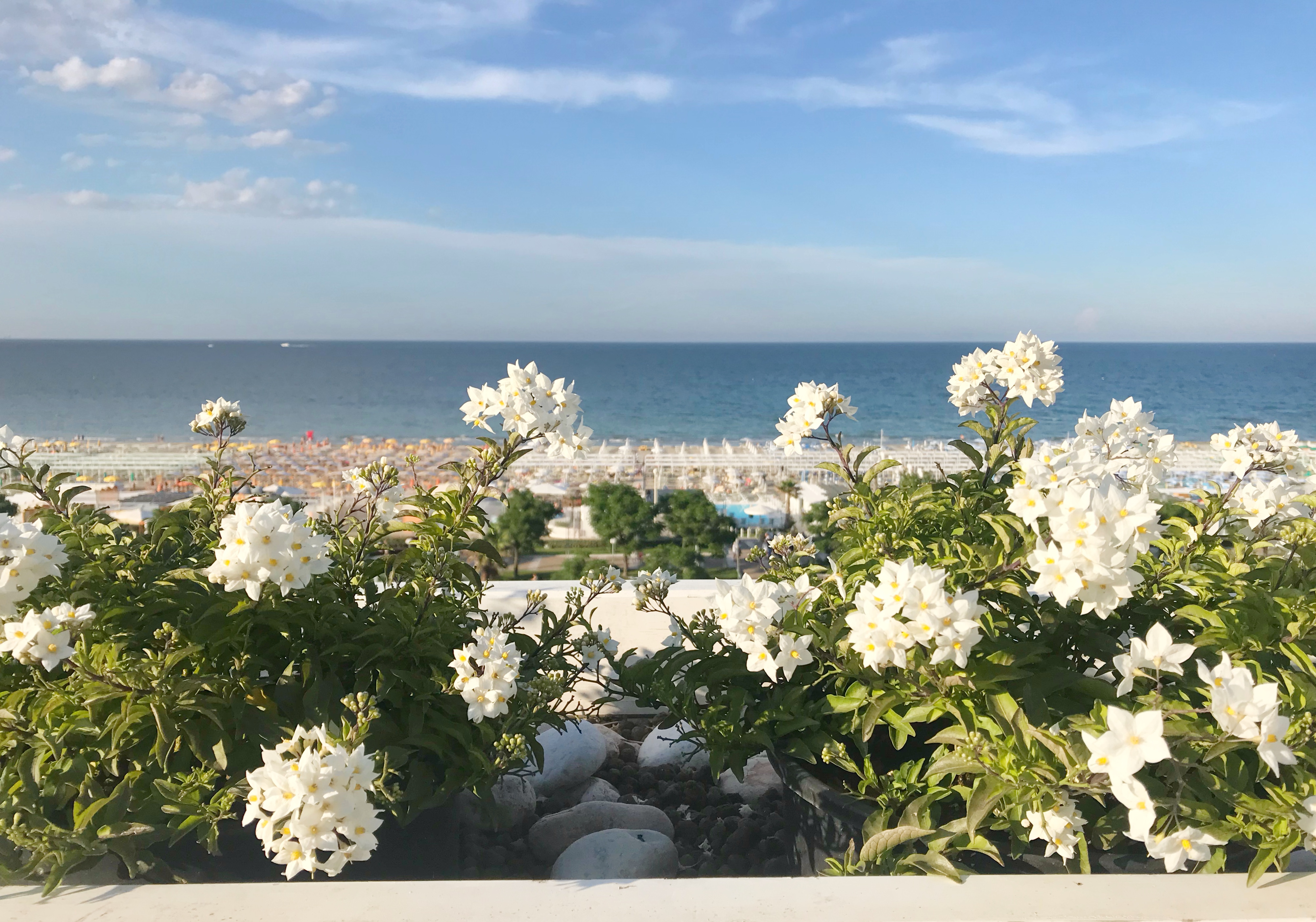 Select Suites & Spa - attēls