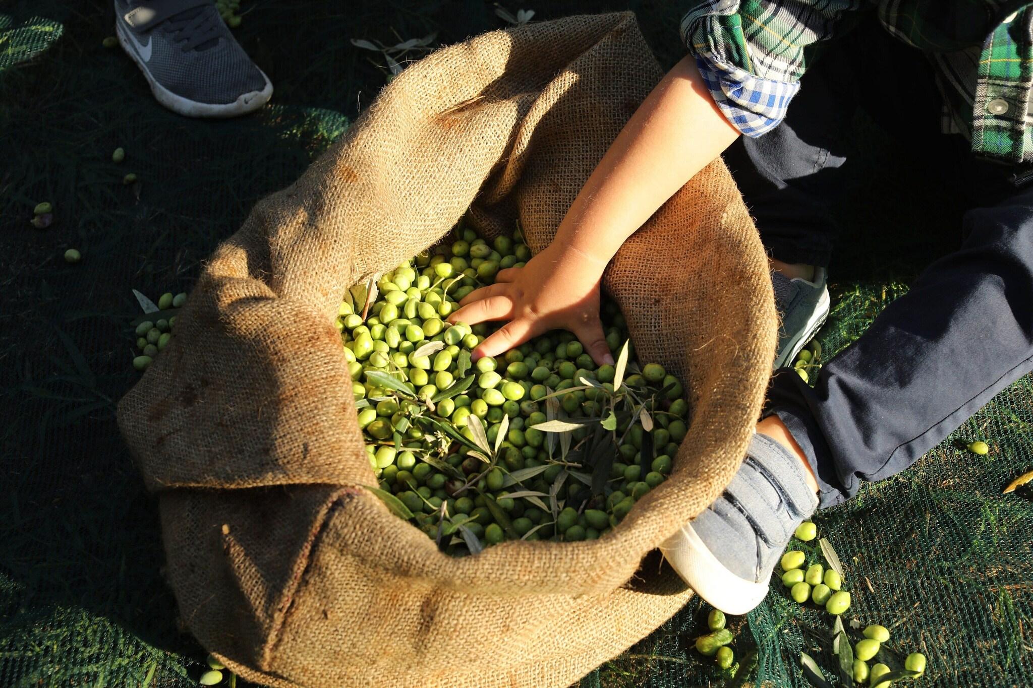 The Romanos, A Luxury Collection Resort - Poză