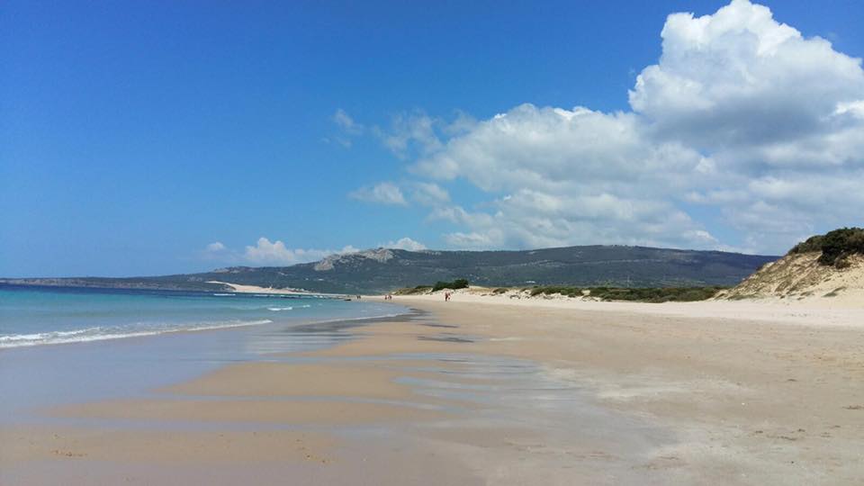 Cortijo Las Piñas by null