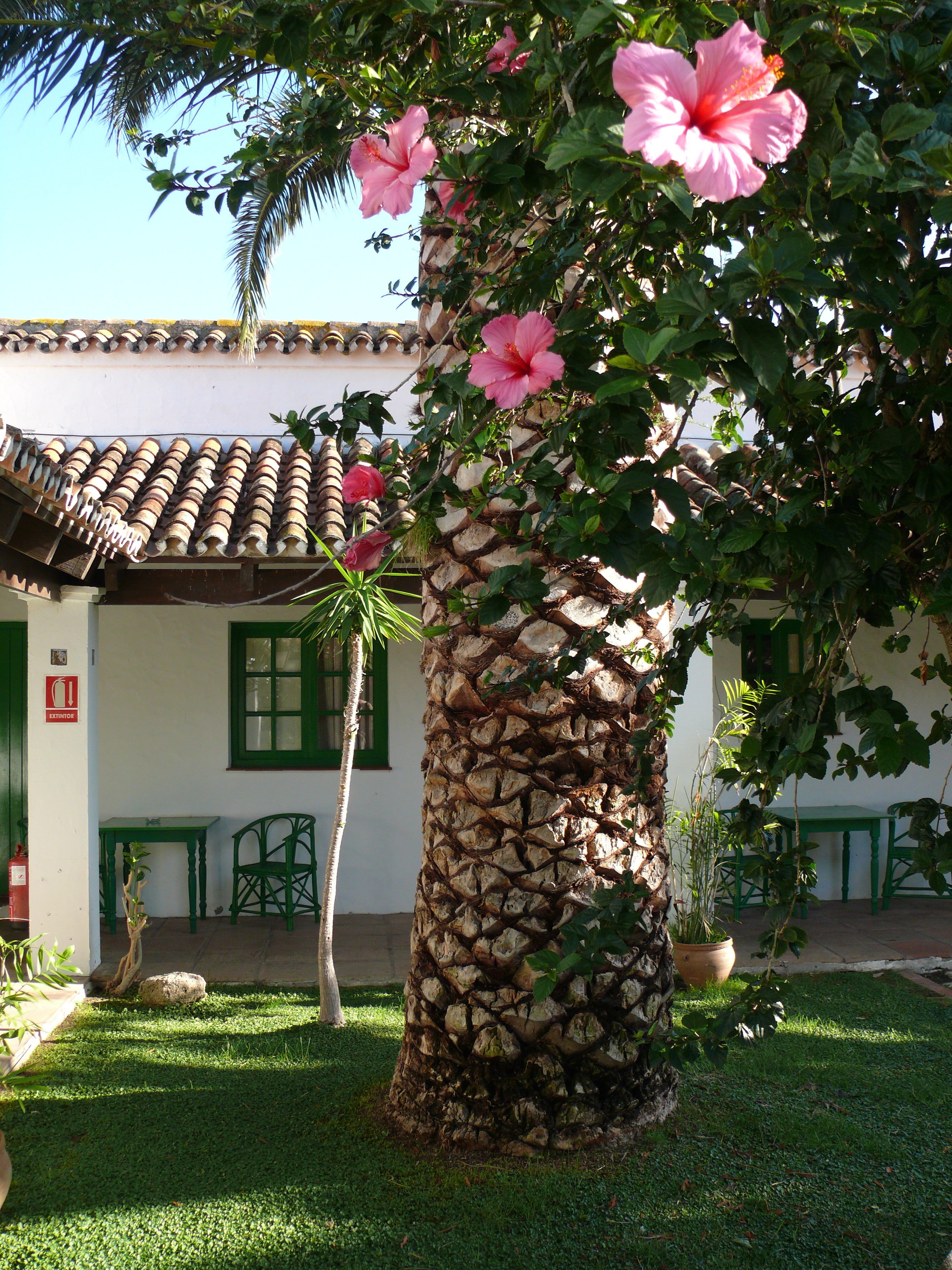 Cortijo Las Piñas by null