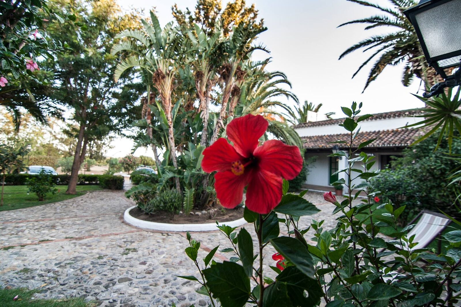 Cortijo Las Piñas by null