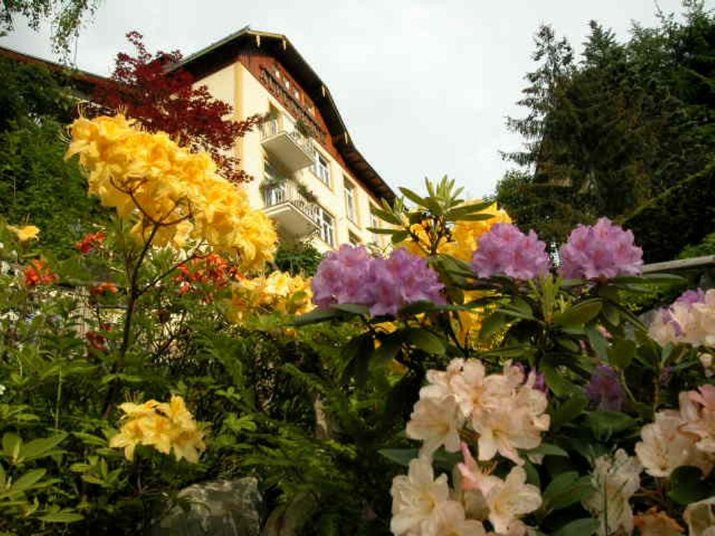 Hotel Alpenblick by null