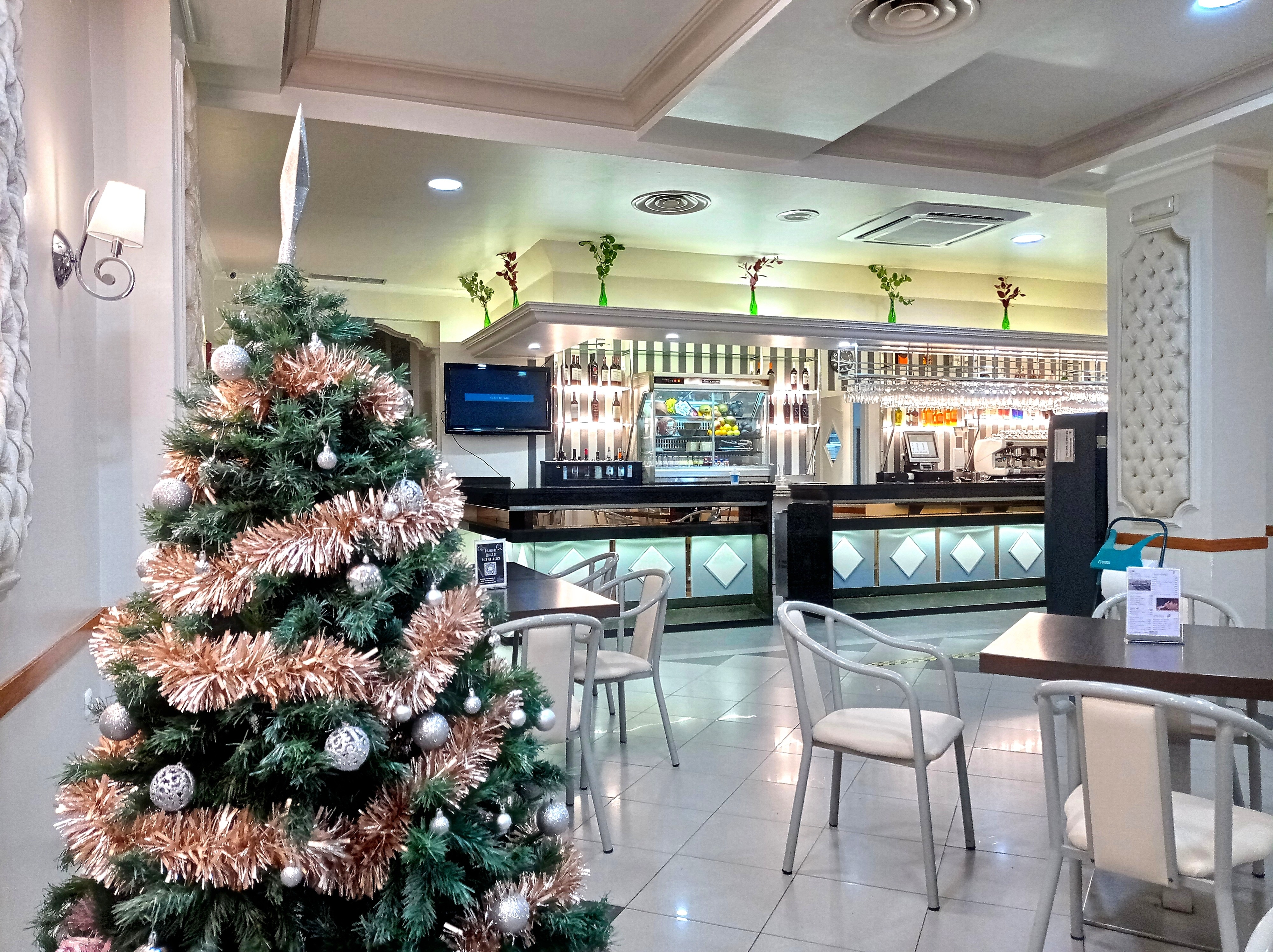 Hotel Mari Carmen by null