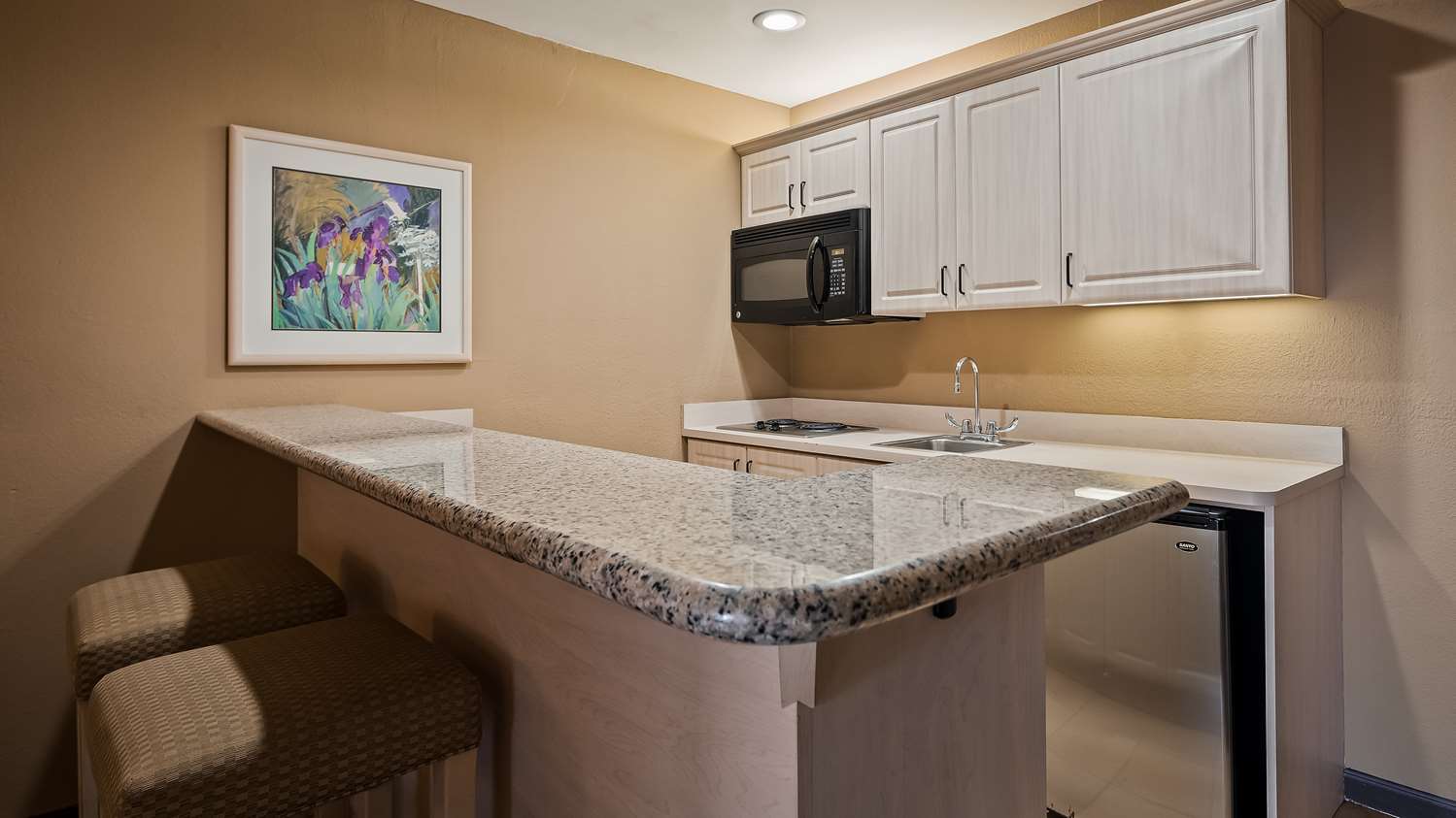 The Encinitan by null