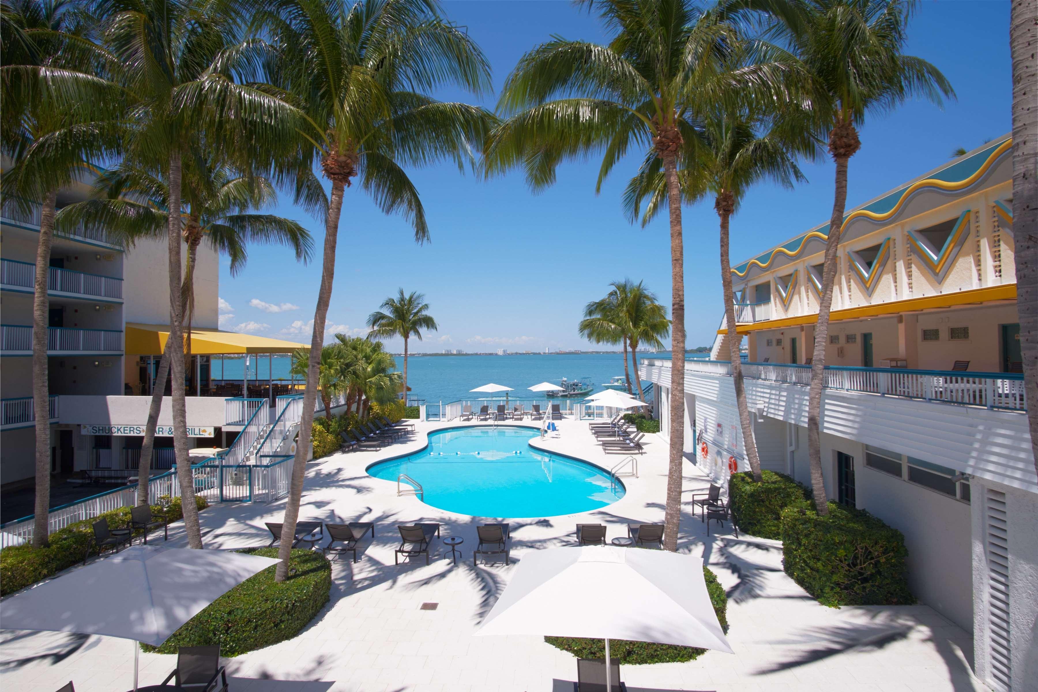 Palm Tree Club Miami by null