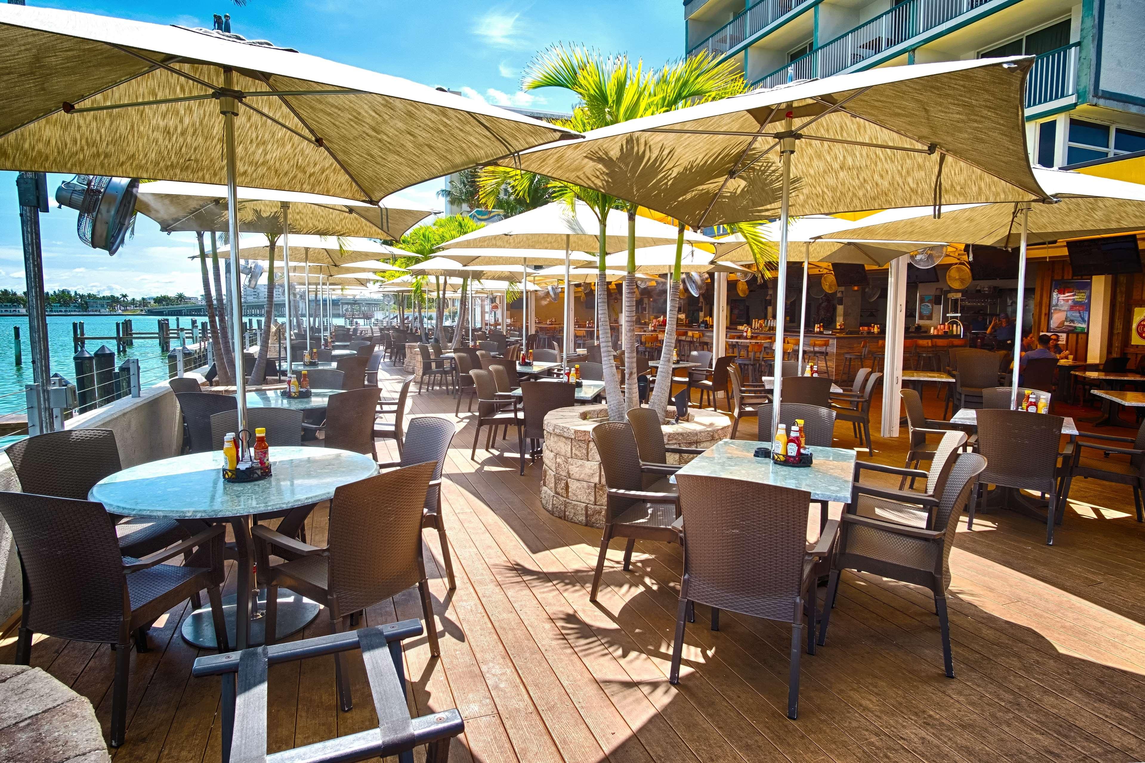 Palm Tree Club Miami by null