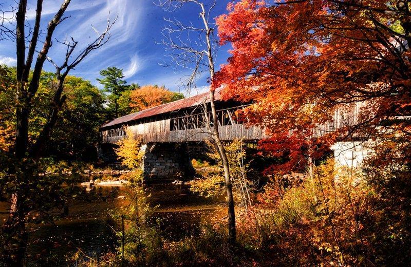 Silver Fox Inn by null