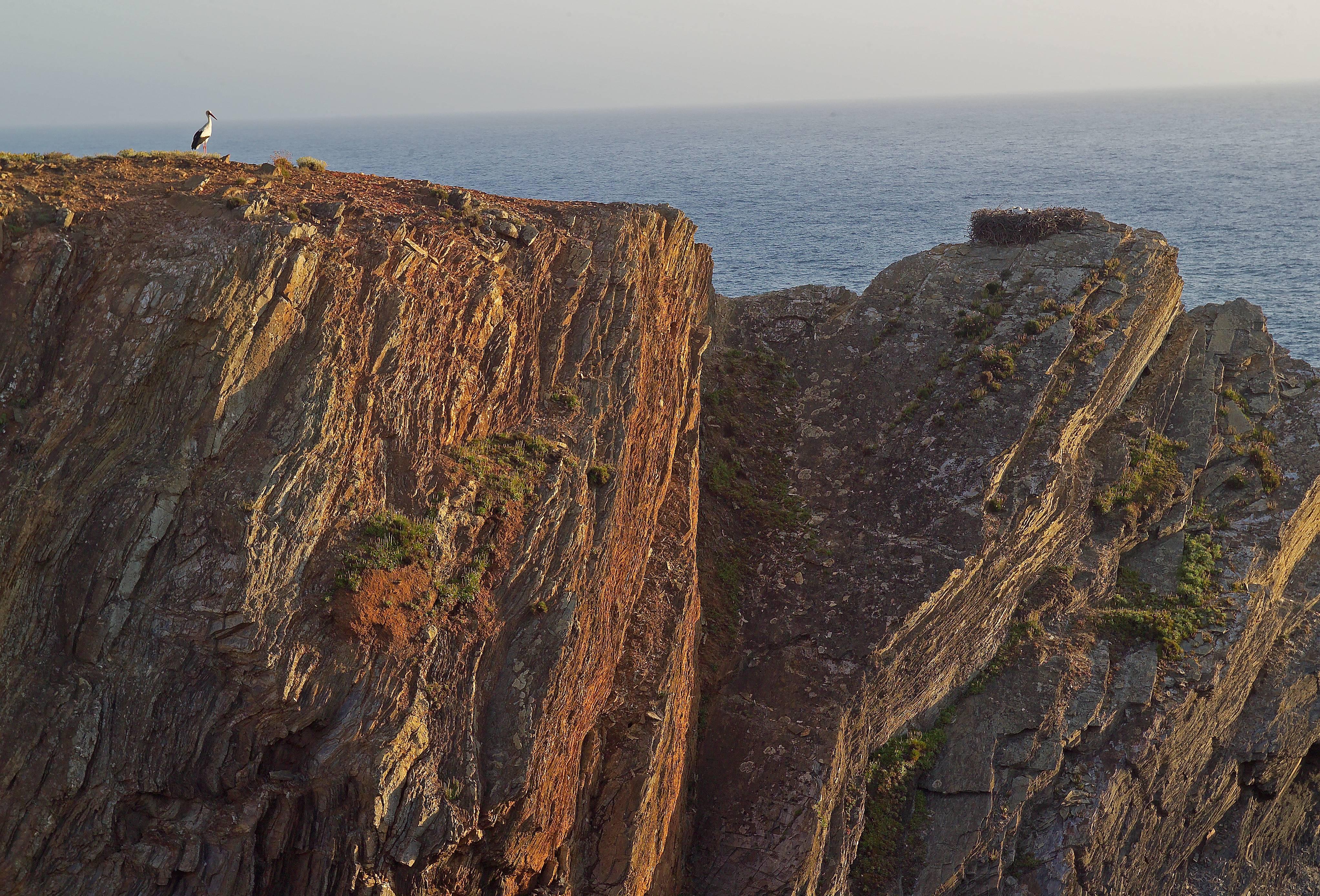 Herdade do Touril by null