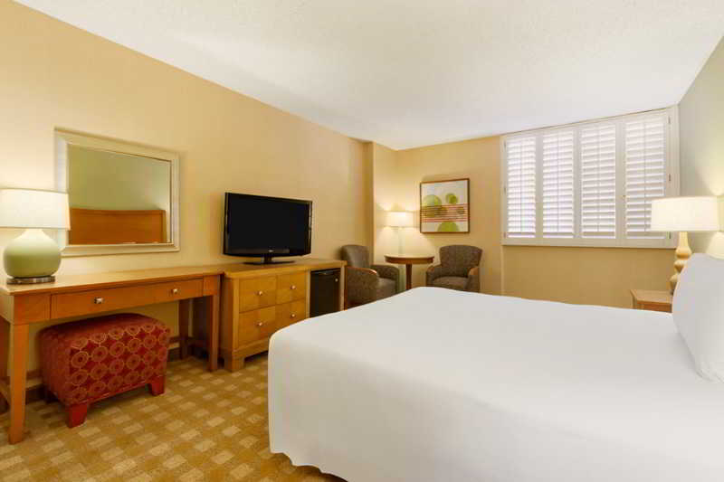 California Hotel & Casino by null