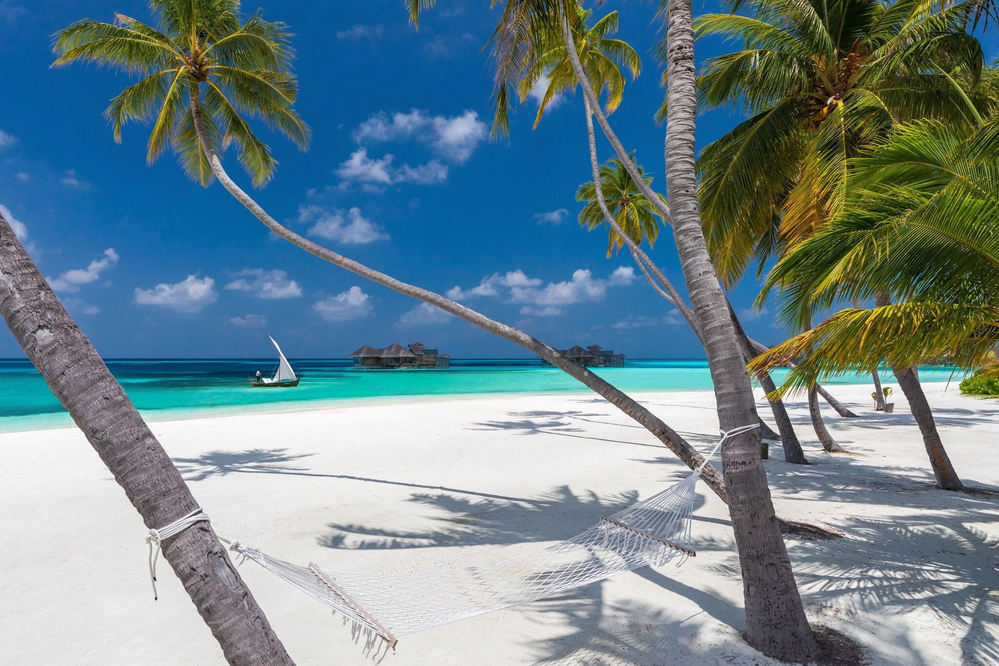 Gili Lankanfushi Maldives by null